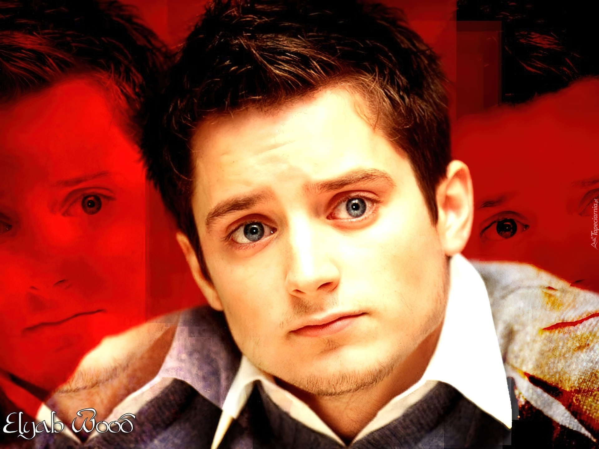 Elijah Wood, Twarz