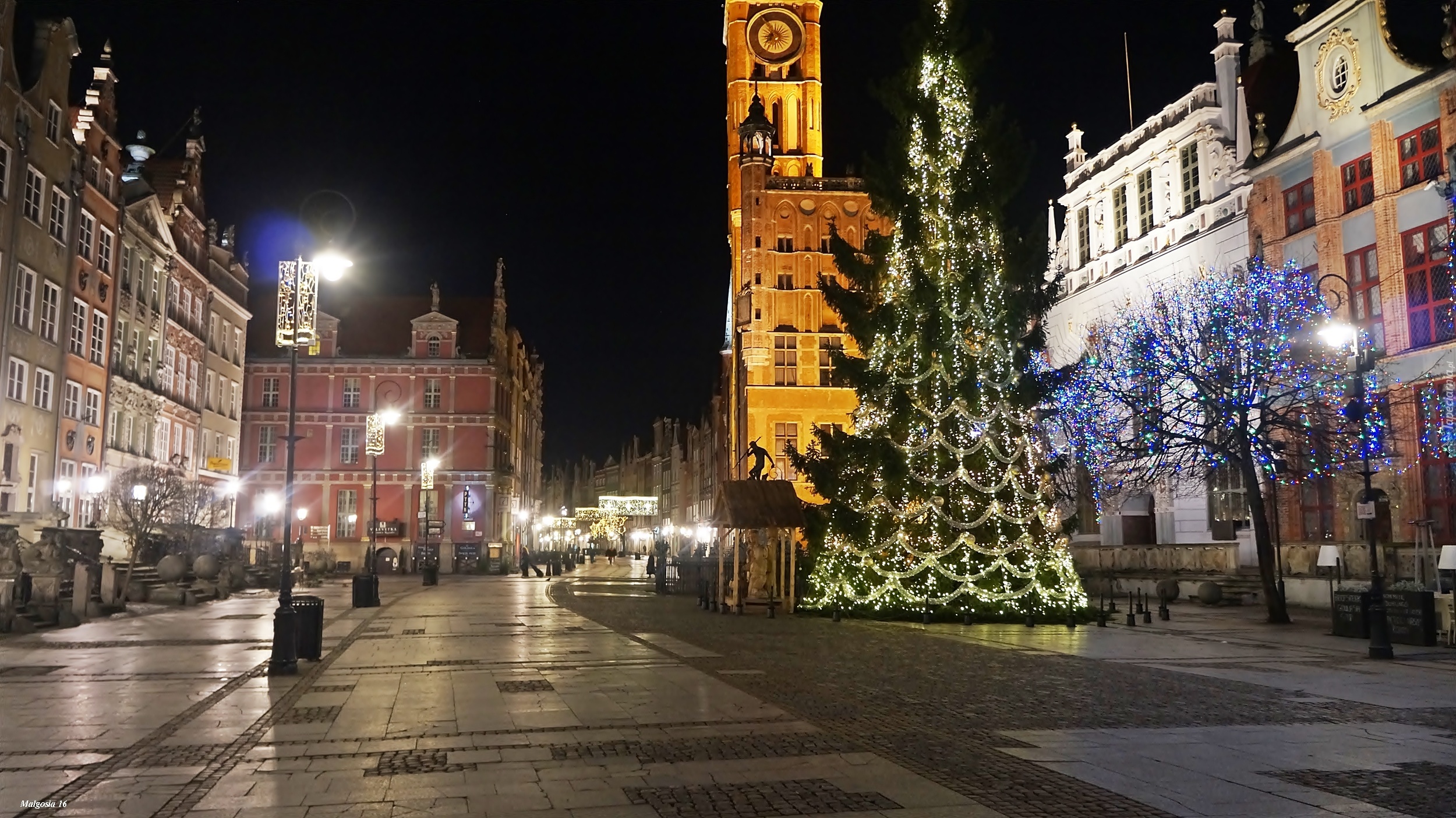 Miasto, Gdańsk, Choinka, Noc, Kamienice, Latarnie