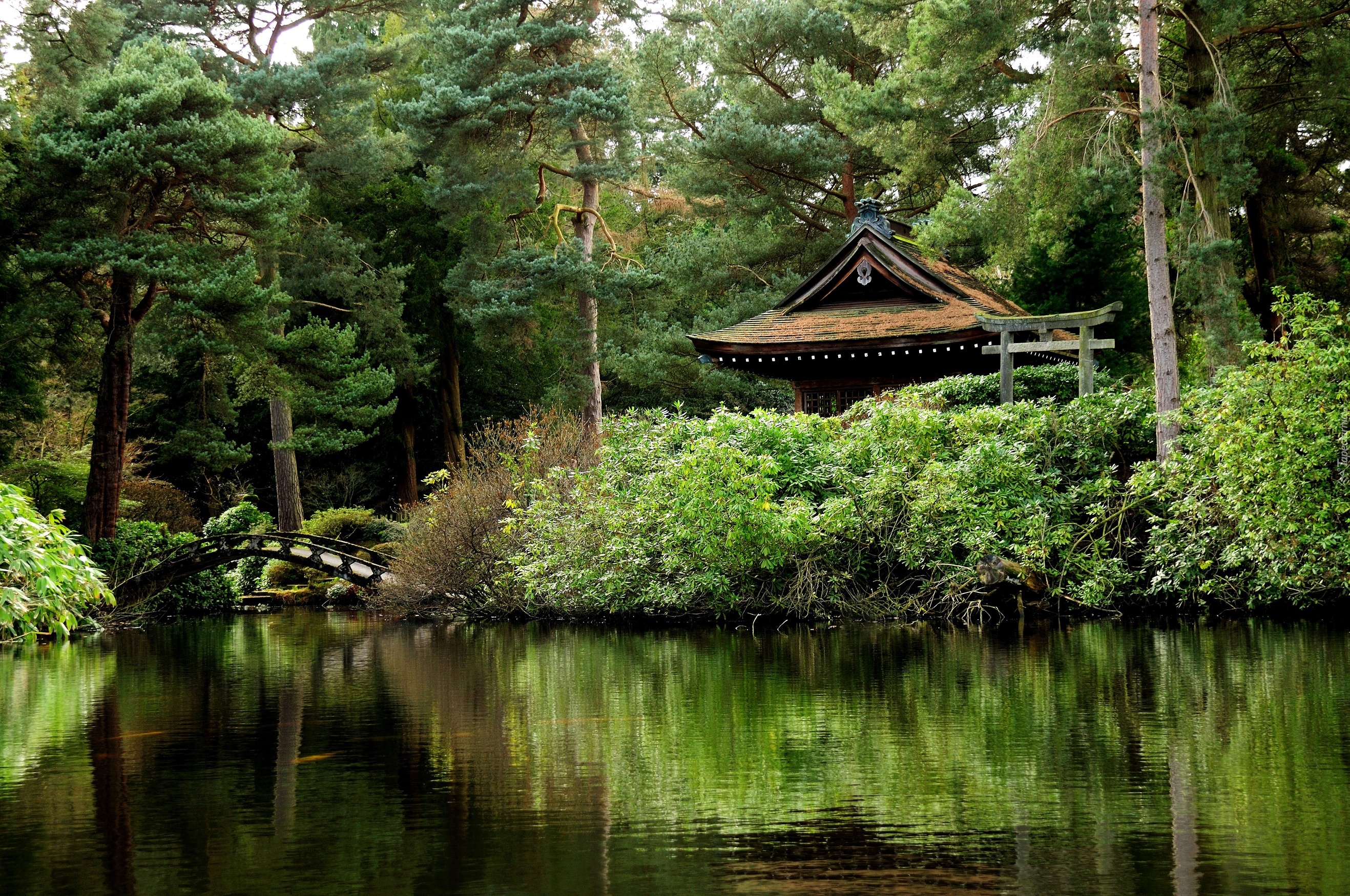Park, Jezioro