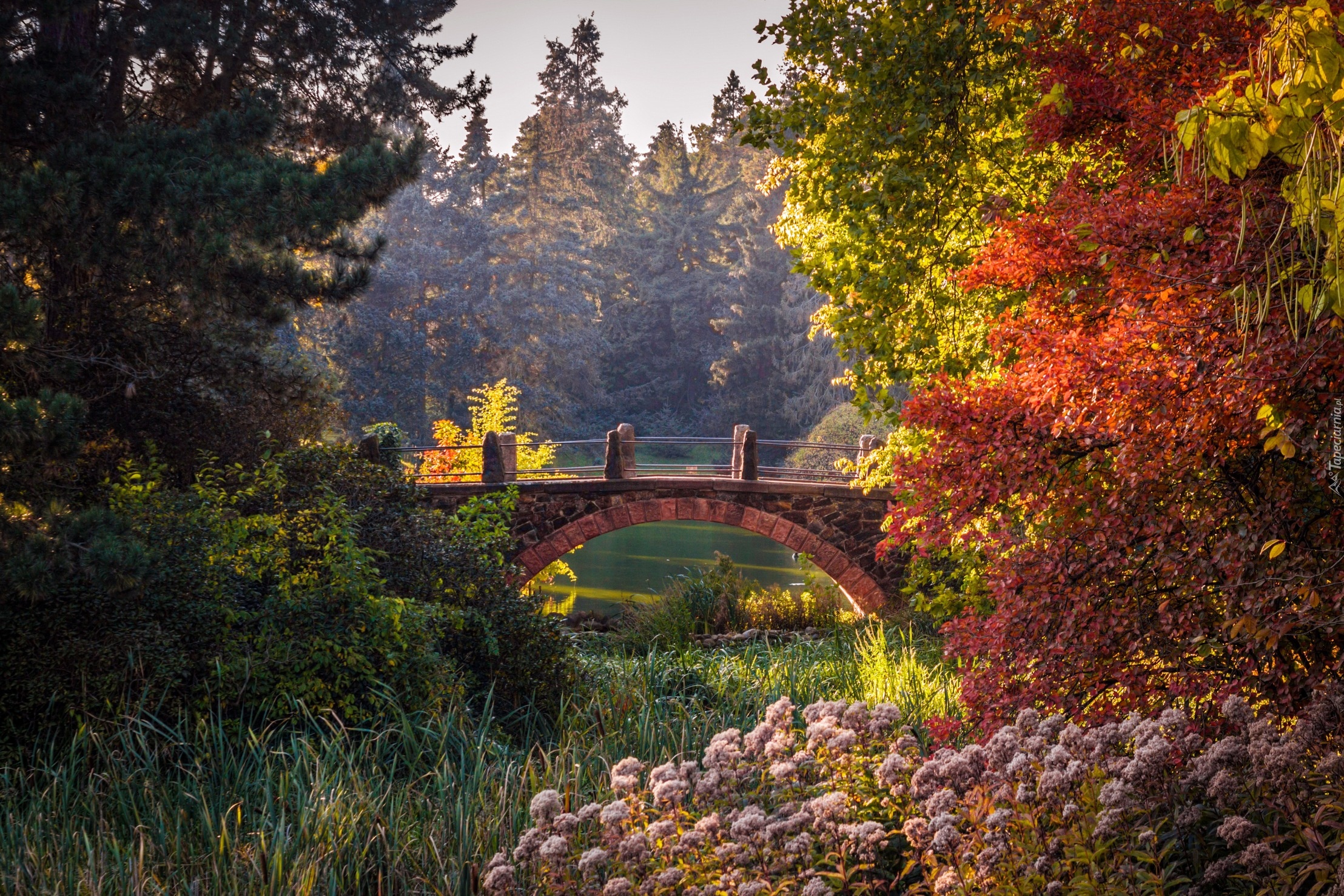 Berlin, Ogród Botaniczny, Most