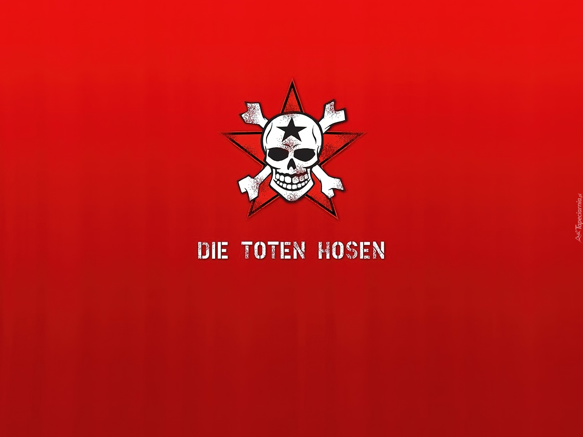 Die Toten Hosen,czaszka  ,kości