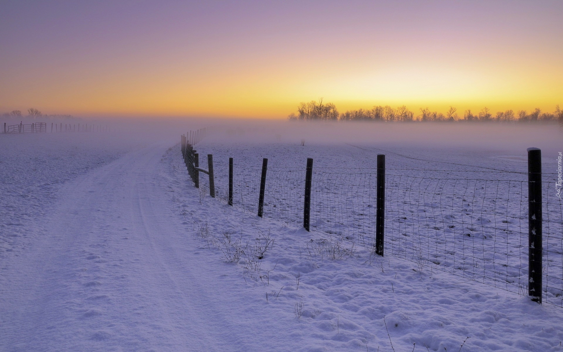 Pole, Śnieg, Droga, Ogrodzenie, Wschód słońca