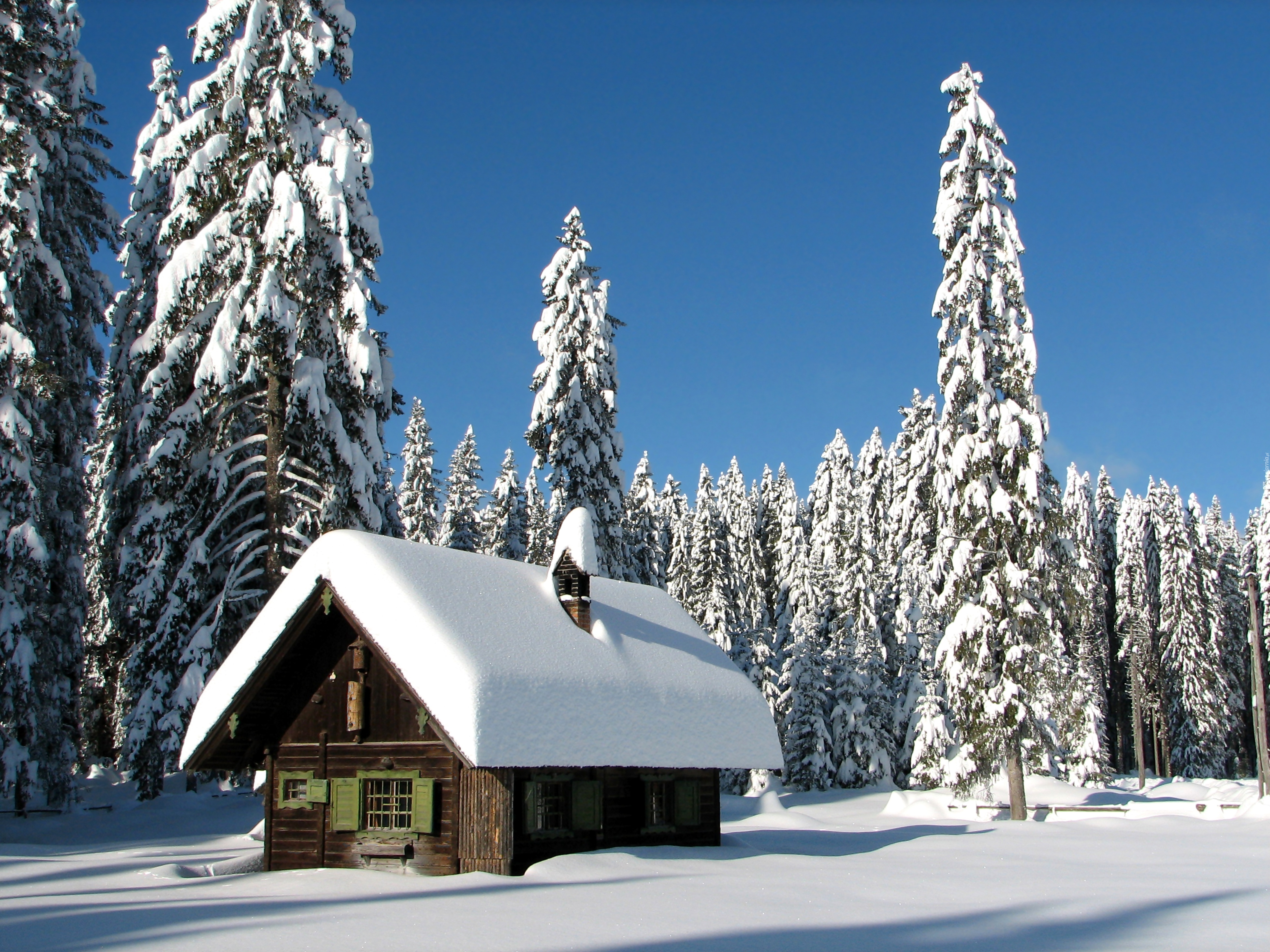 Снежка домики. Зимний домик. Домик в зимнем лесу. Заснеженный дом. Заснеженный домик в лесу.