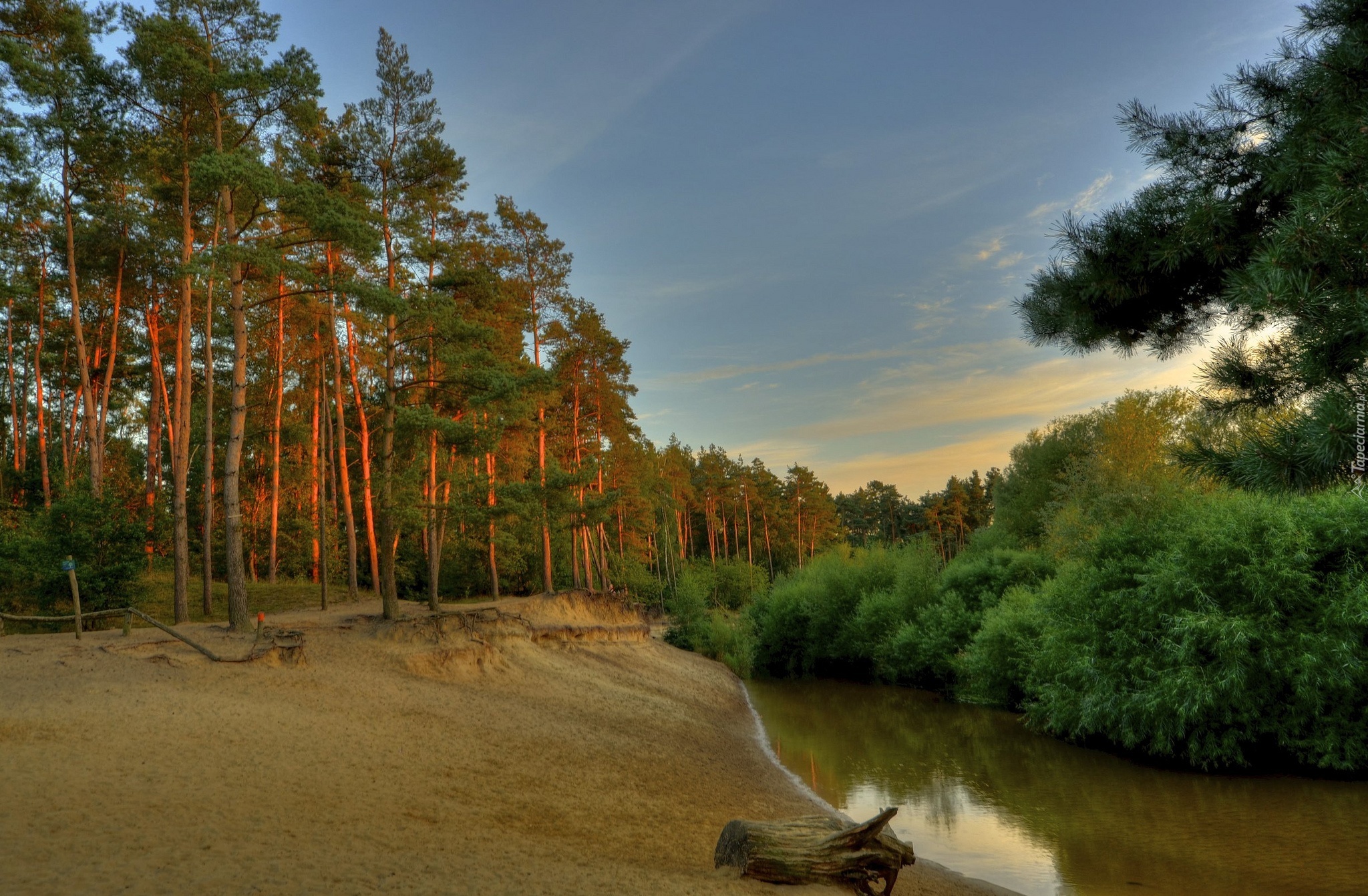 Lato, Las, Rzeka, Zachód, Słońca