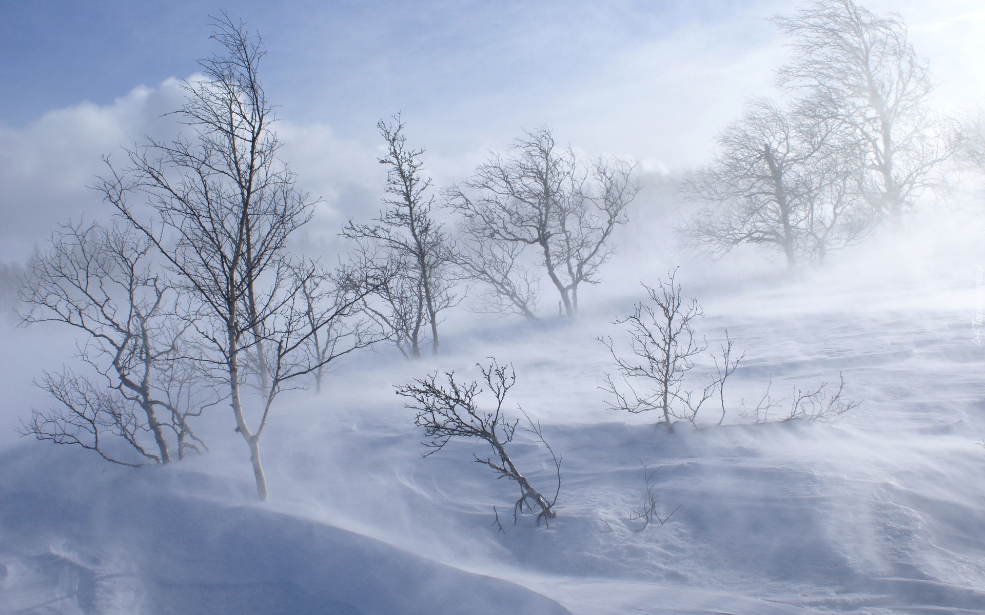 Zima, Wzgórze, Śnieżna, Zadymka