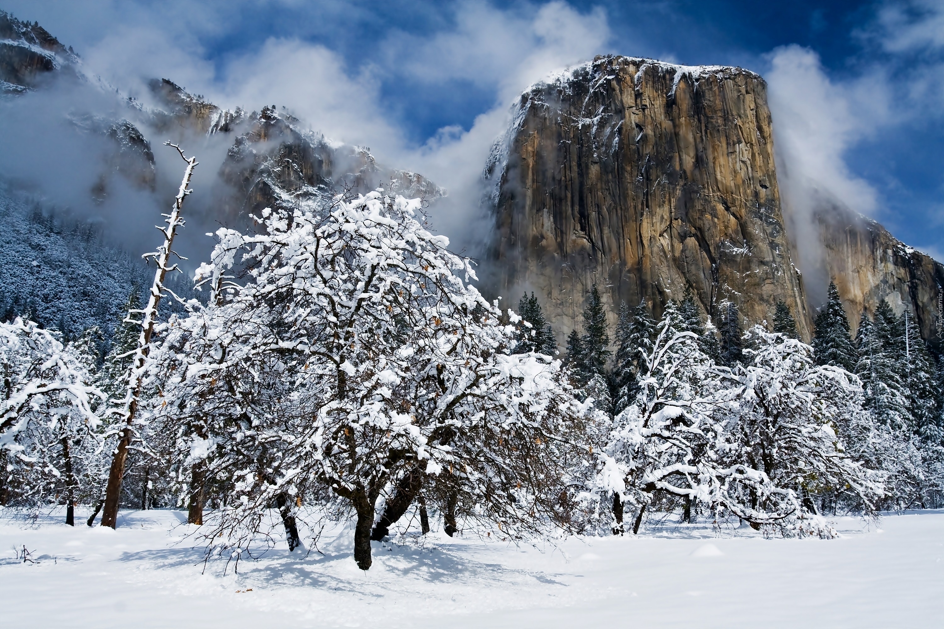 Stany Zjednoczone, Stan Kalifornia, Park Narodowy Yosemite, Szczyt El Capitan