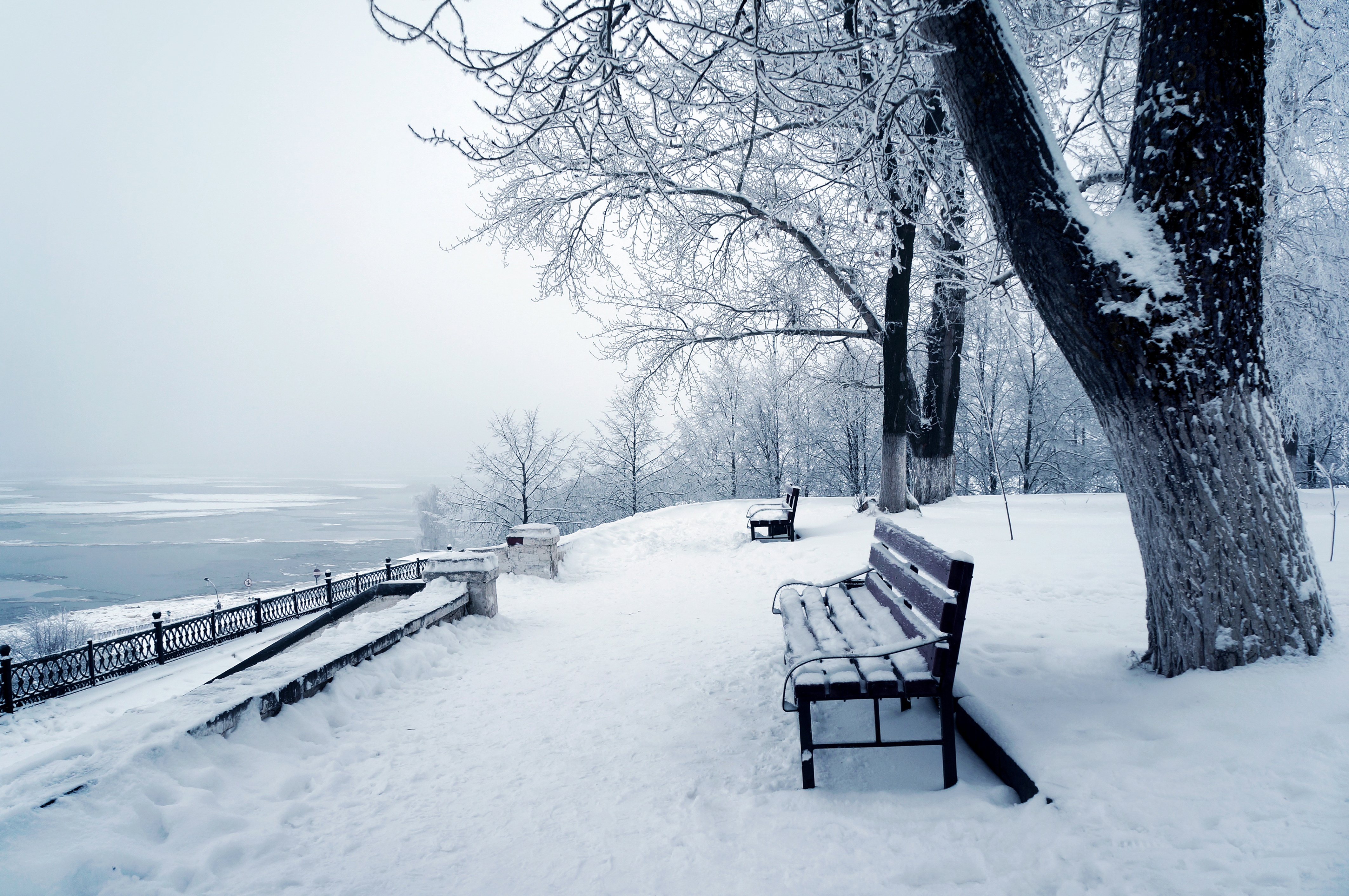 Park, Ławka, Jezioro