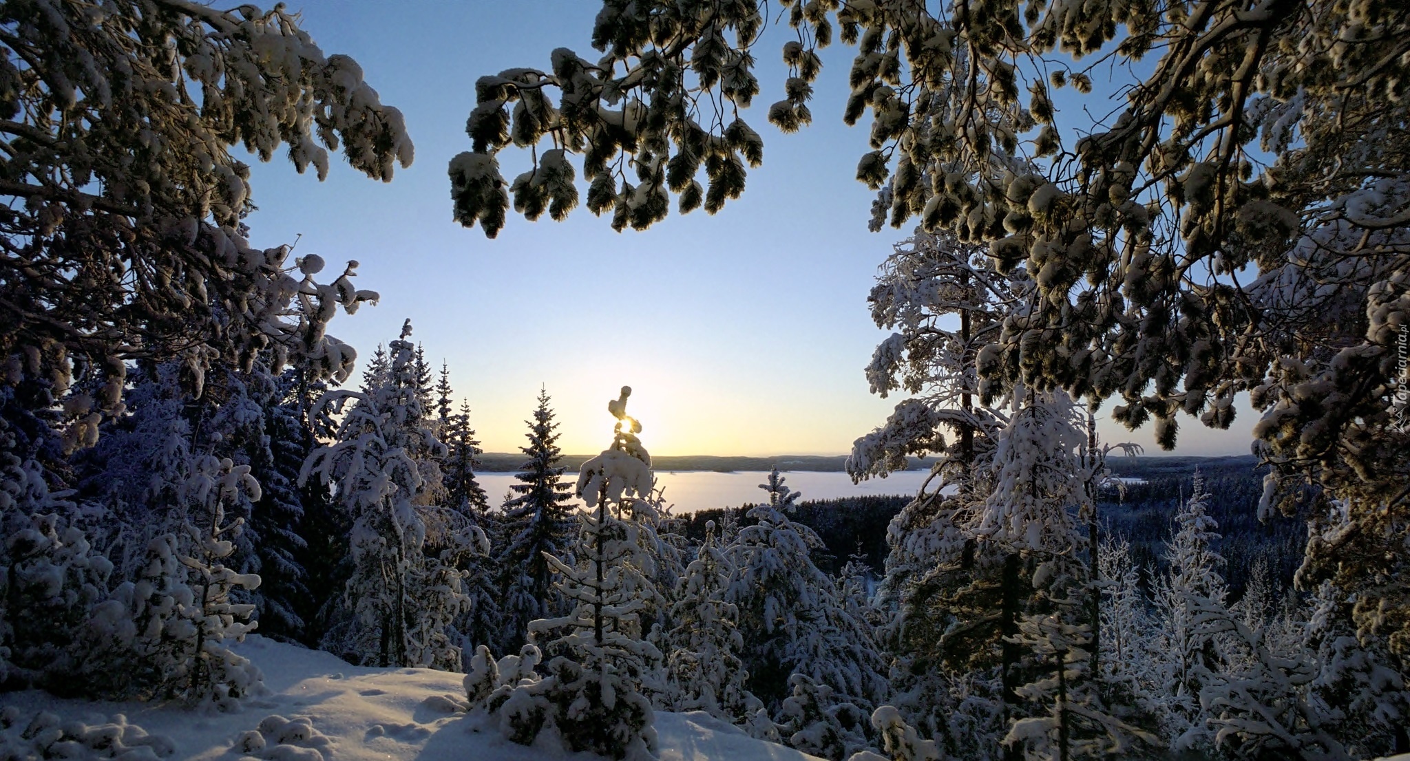 Zima, Drzewa, Śnieg, Jezioro