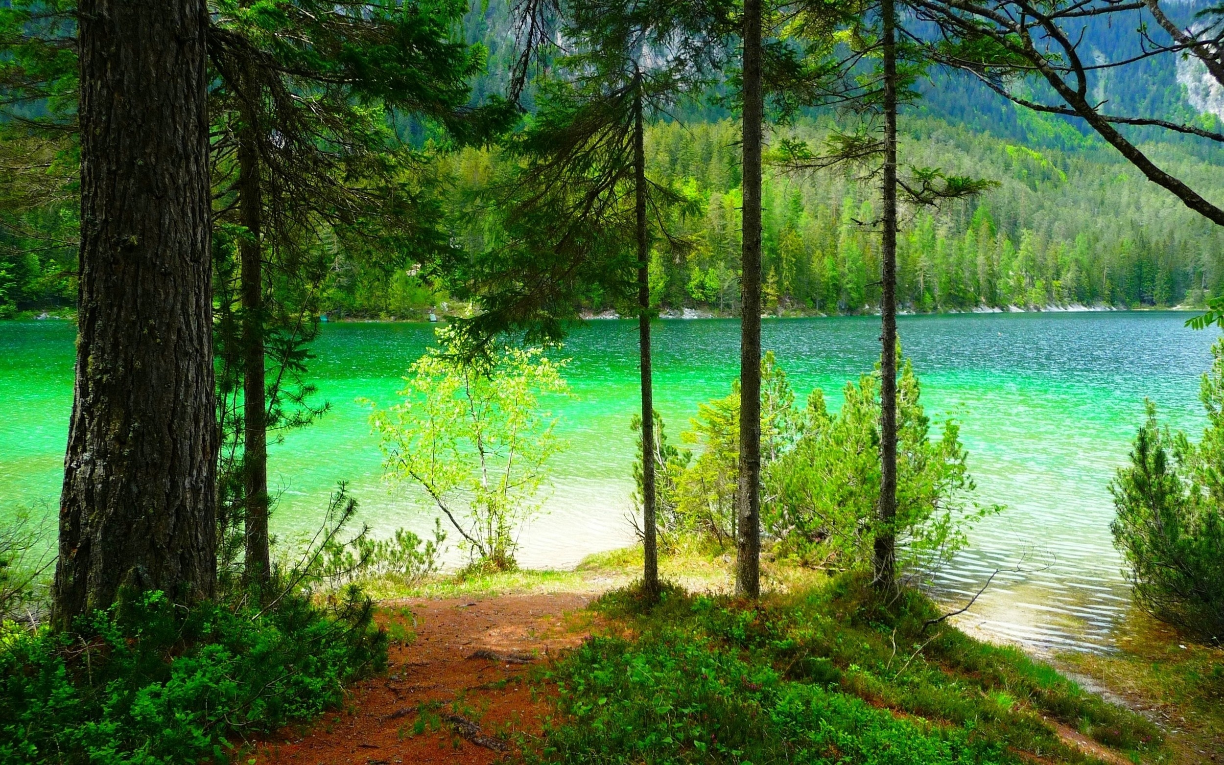 Jezioro, Góry, Las