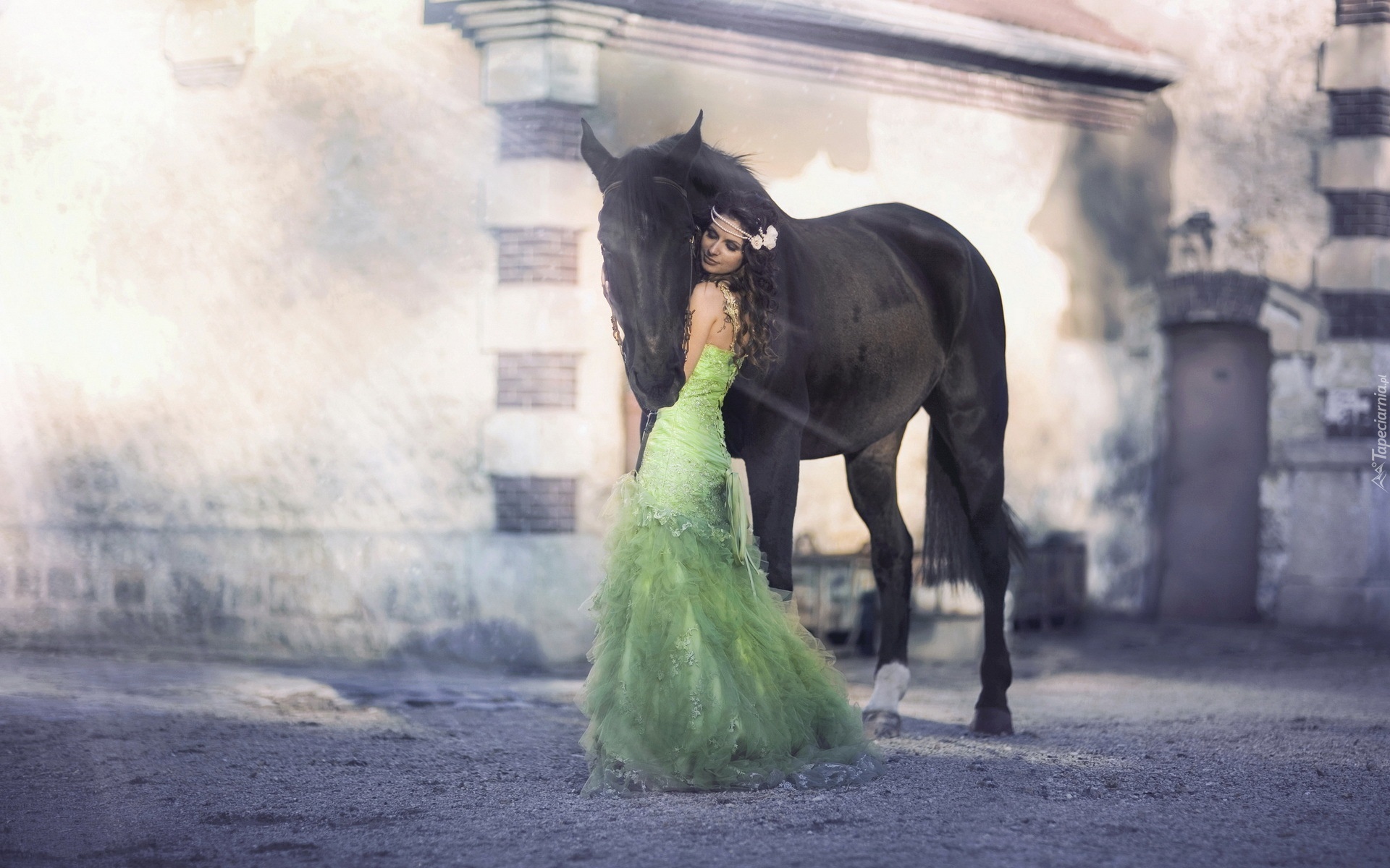Koń, Kobieta, Sukienka, Promienie