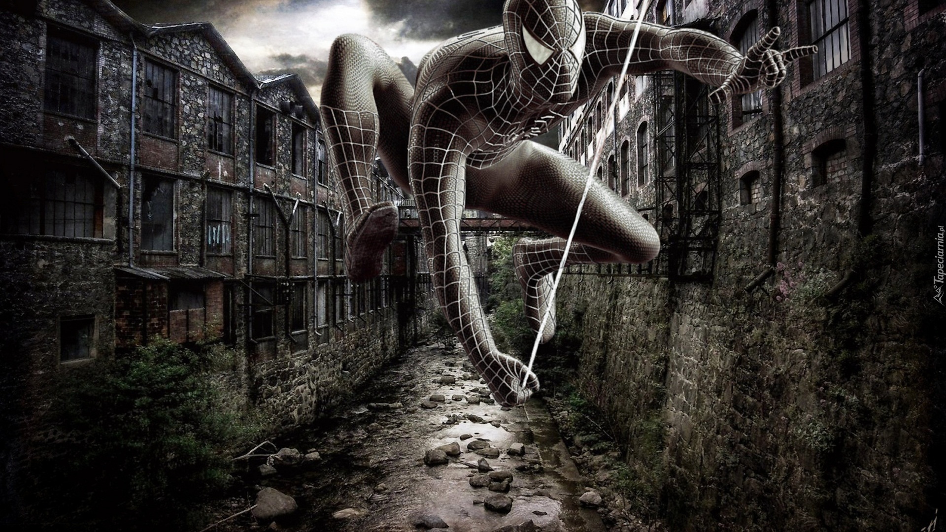 Spiderman