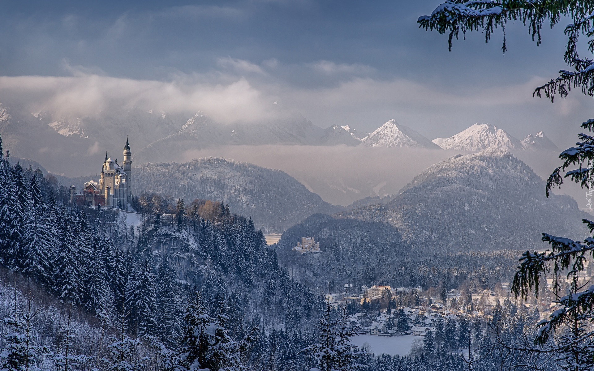 Niemcy, Bawaria, Zamek Neuschwanstein, Skały, Drzewa