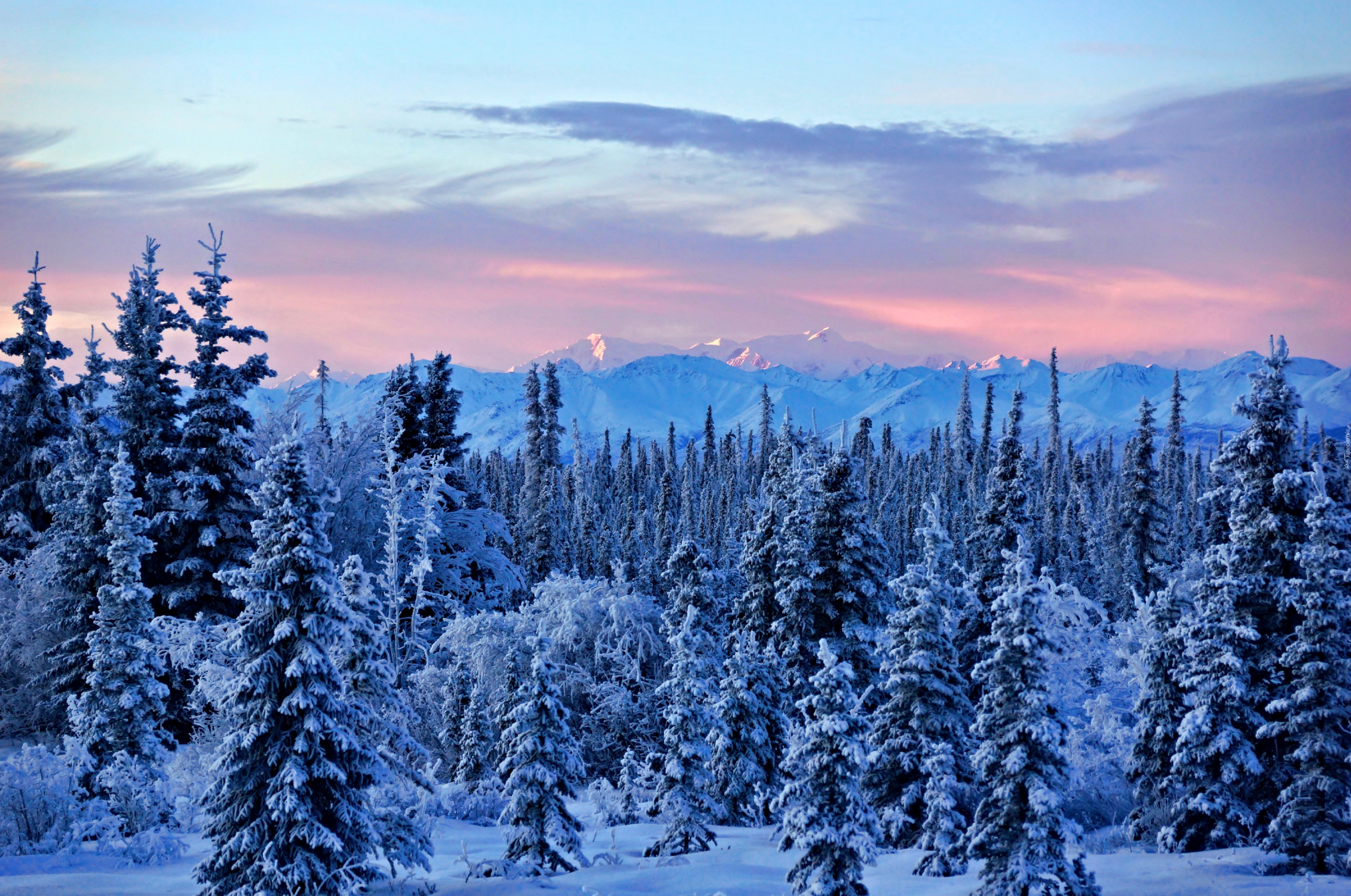 Góry, Lasy, Wschód, Słońca, Alaska, Zima