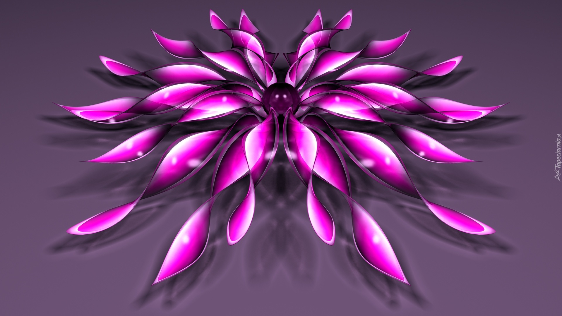 Grafika, 3D, Purpurowy, Kwiat