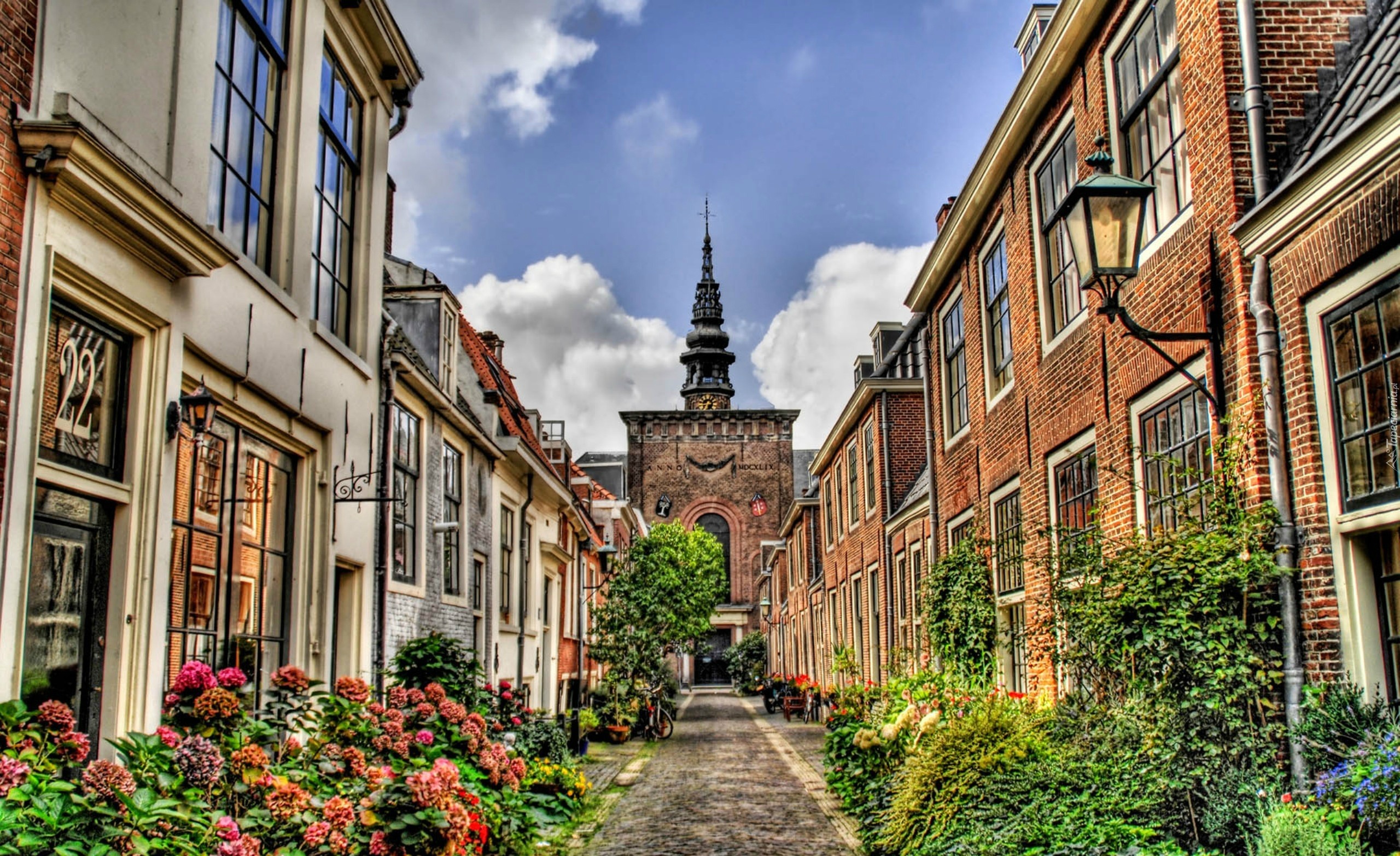 Miasto, Roślinność, HDR