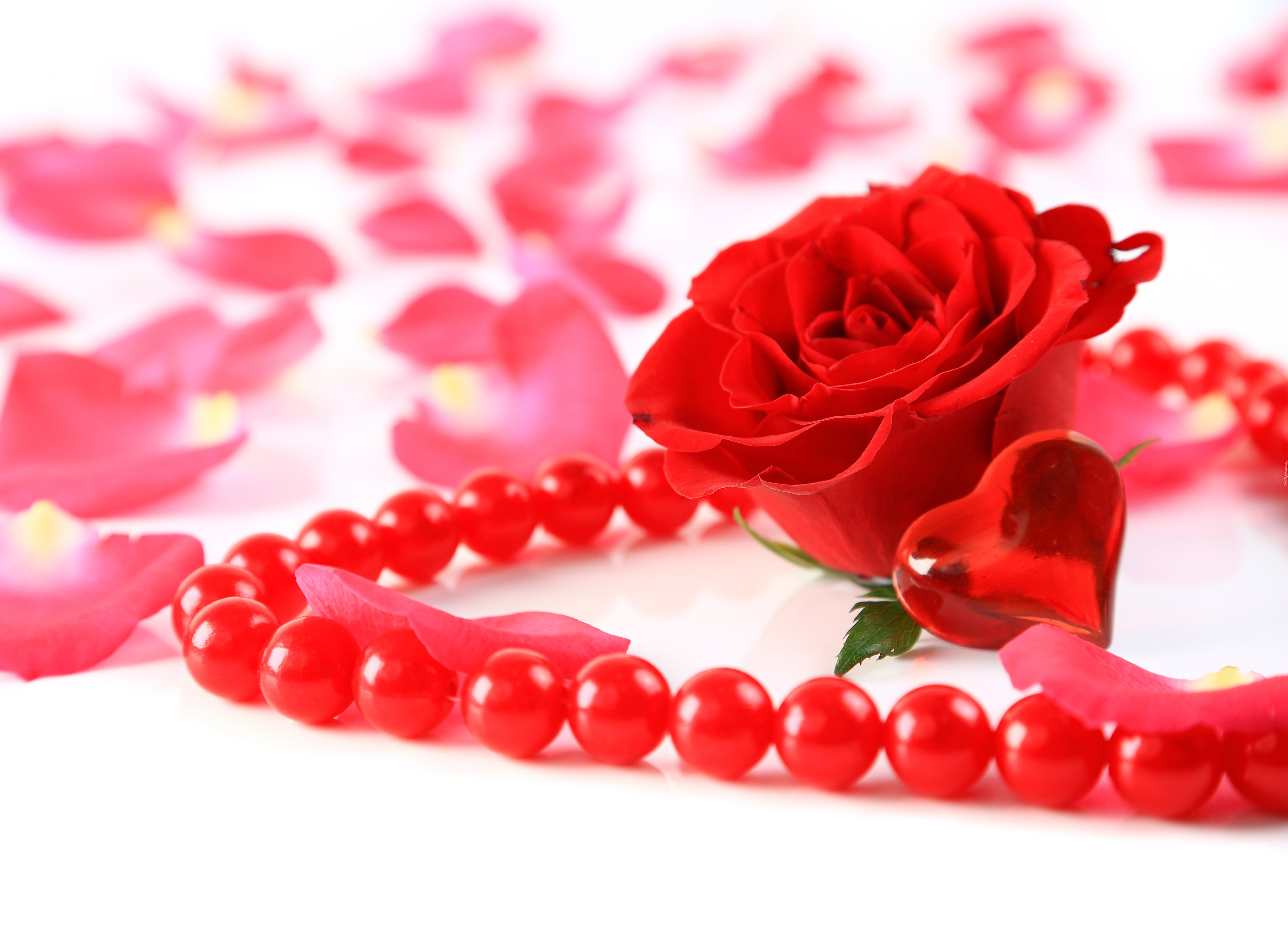 Czerwone perły, Serce, Czerwona róża, Płatki rózy