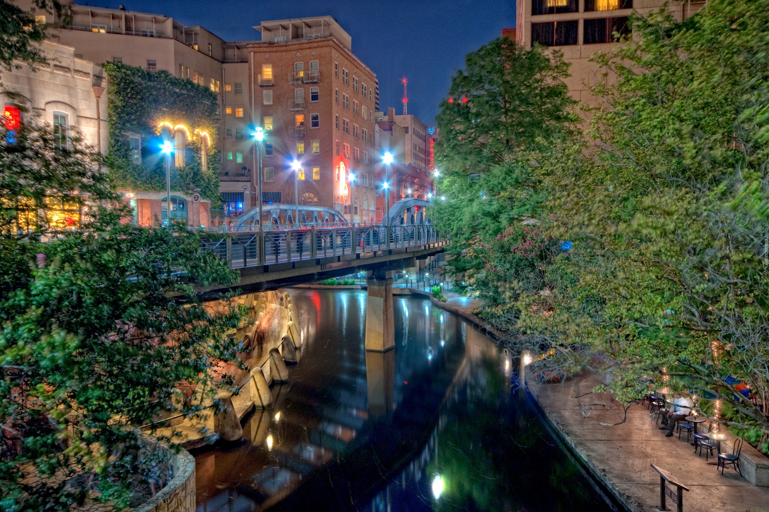 P411 San Antonio