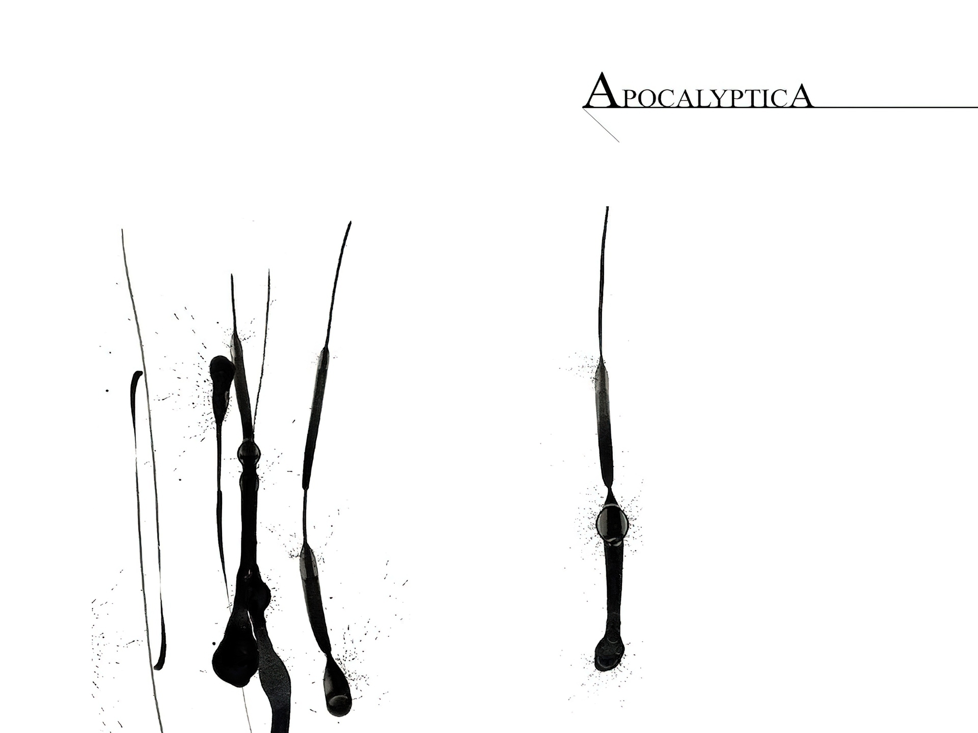 Apocalyptica,pałeczki