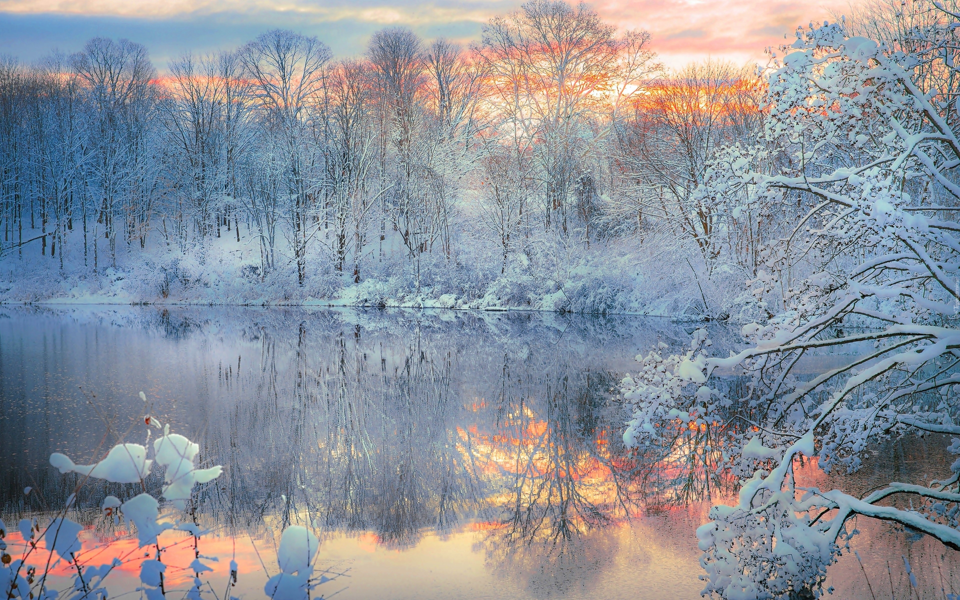 Сильный утренний мороз. Зимний пейзаж. Нежный зимний пейзаж. Ранняя зима. Зимнее озеро.