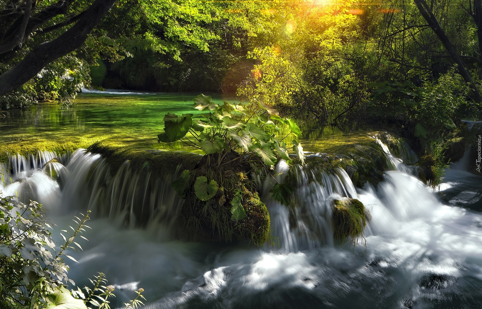 Park Narodowy Plitvice, Chorwacja, Rzeka, Wodospad