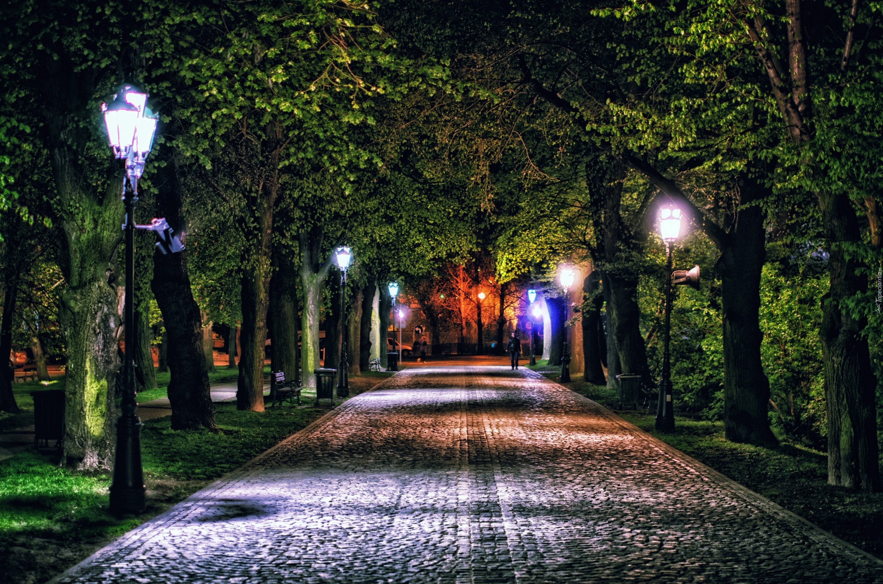 Park, Rzeszów, Polska