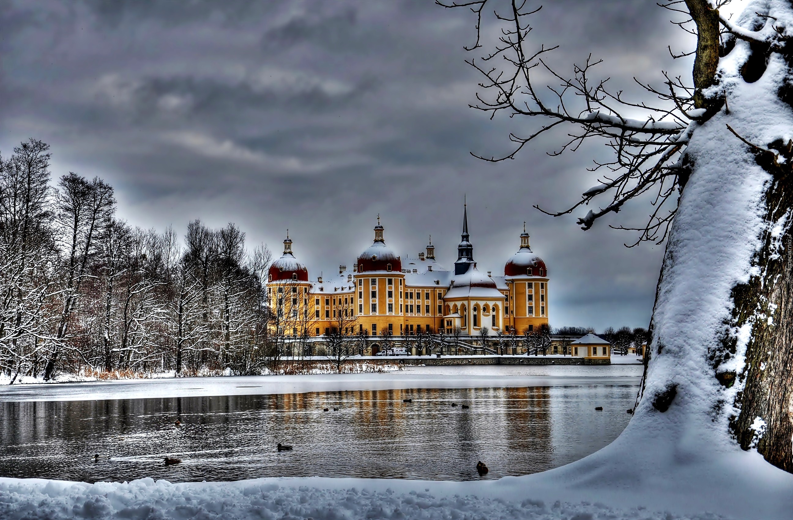 Niemcy, Saksonia, Miejscowość Moritzburg, Pałac Moritzburg, Jezioro, Śnieg, Zima, Drzewa