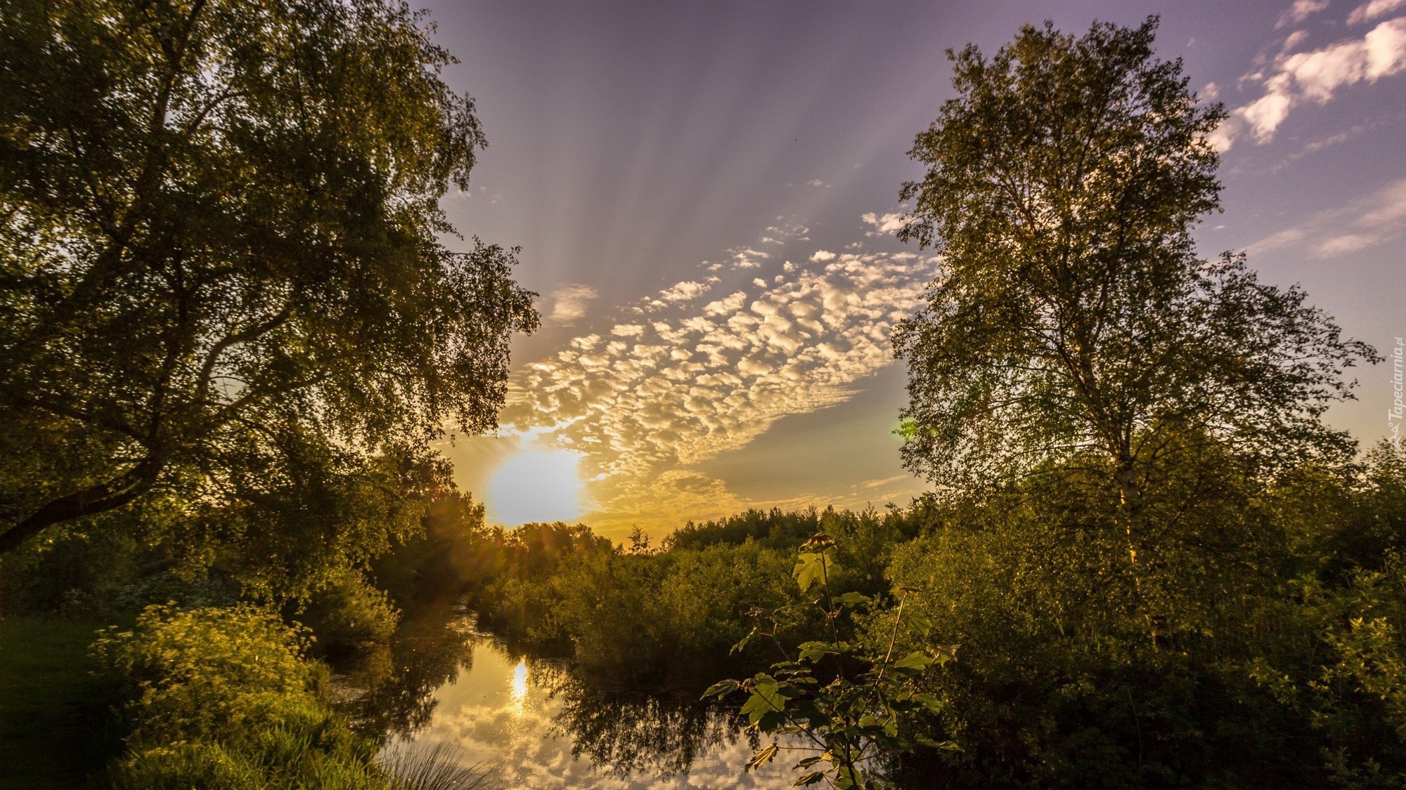 Wschód, Słońca, Rzeka, Las