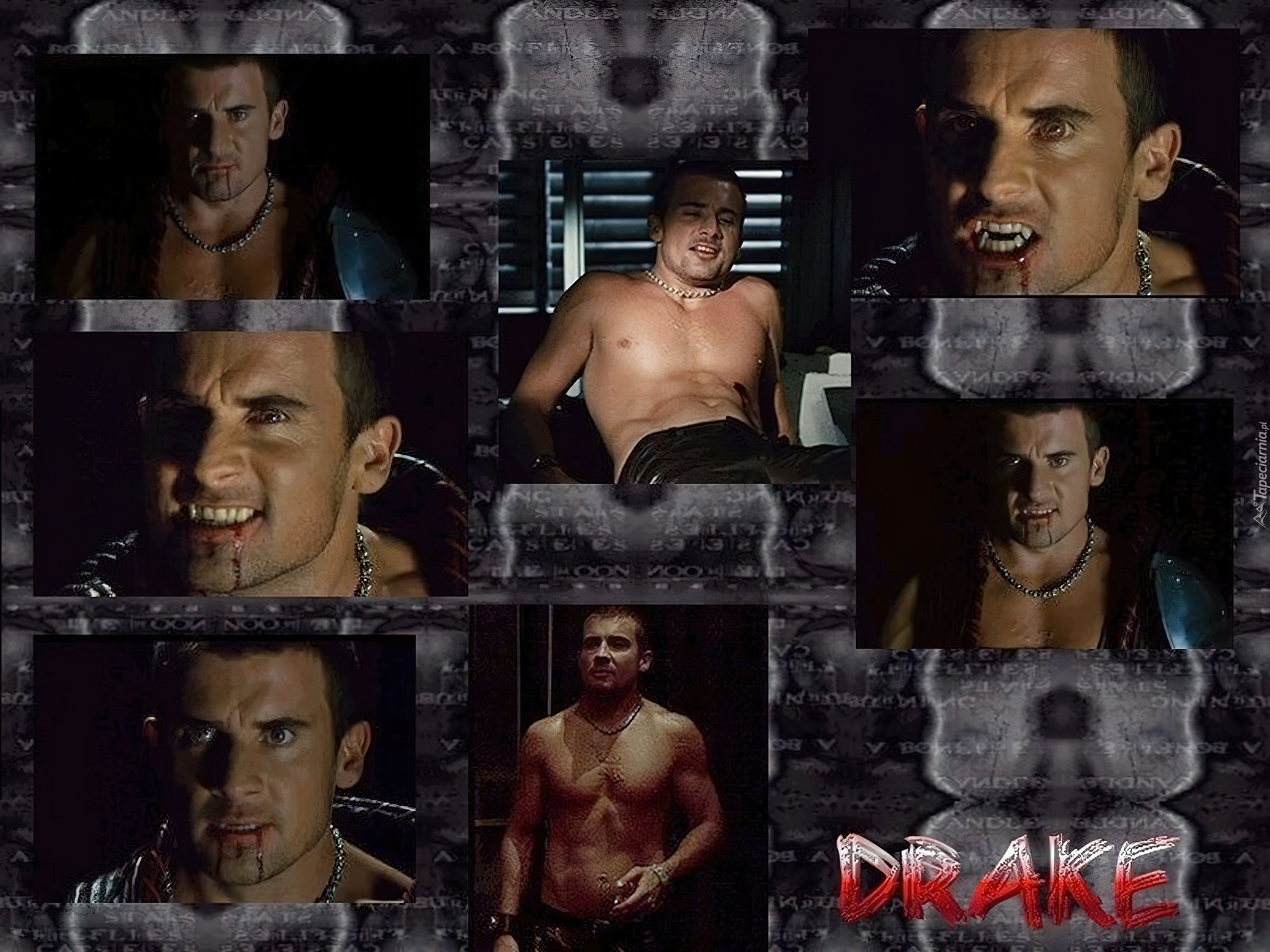 Dominic Purcell, drake, krew