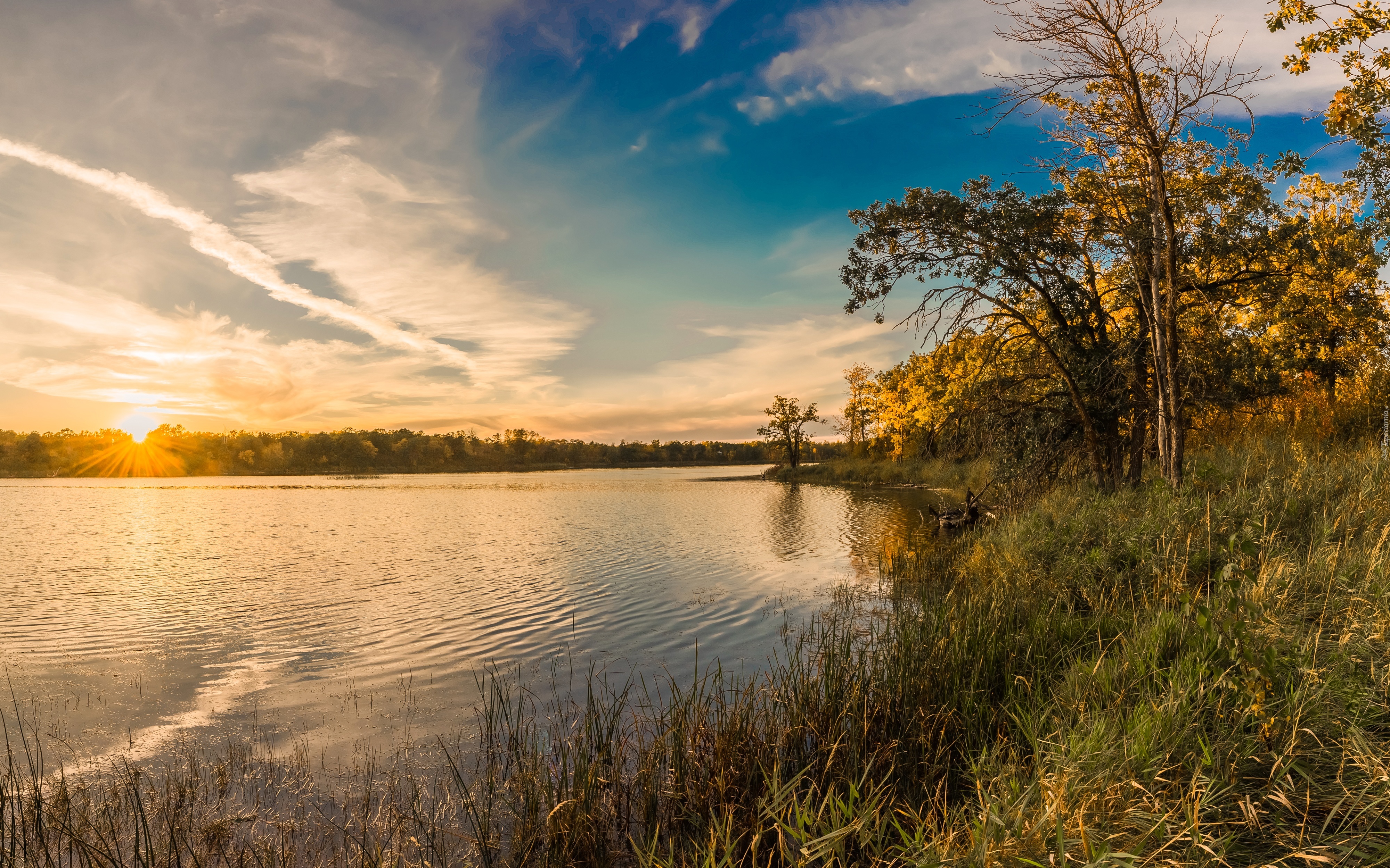 Jezioro, Wschód słońca, Niebo, Drzewa, Trawa