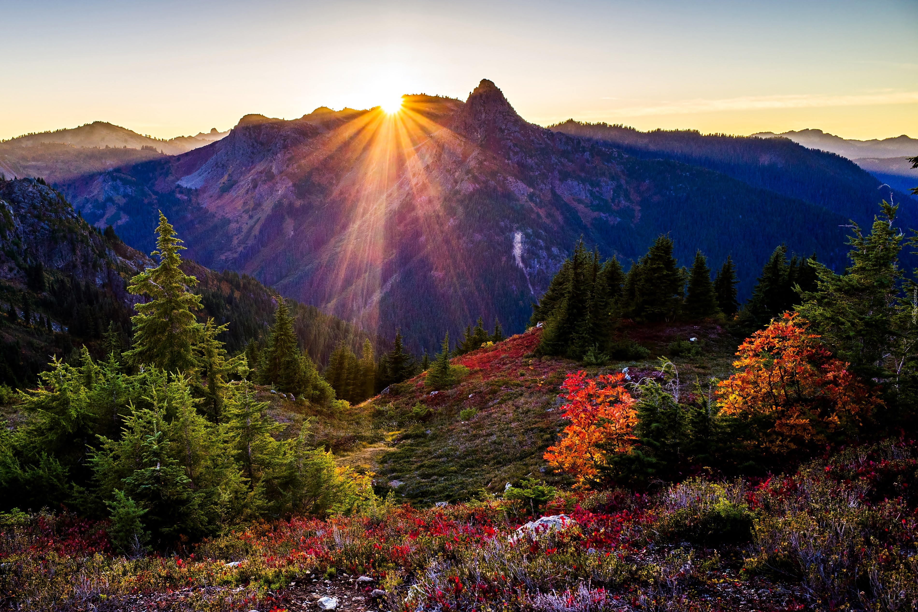 Park, Narodowy, Washington