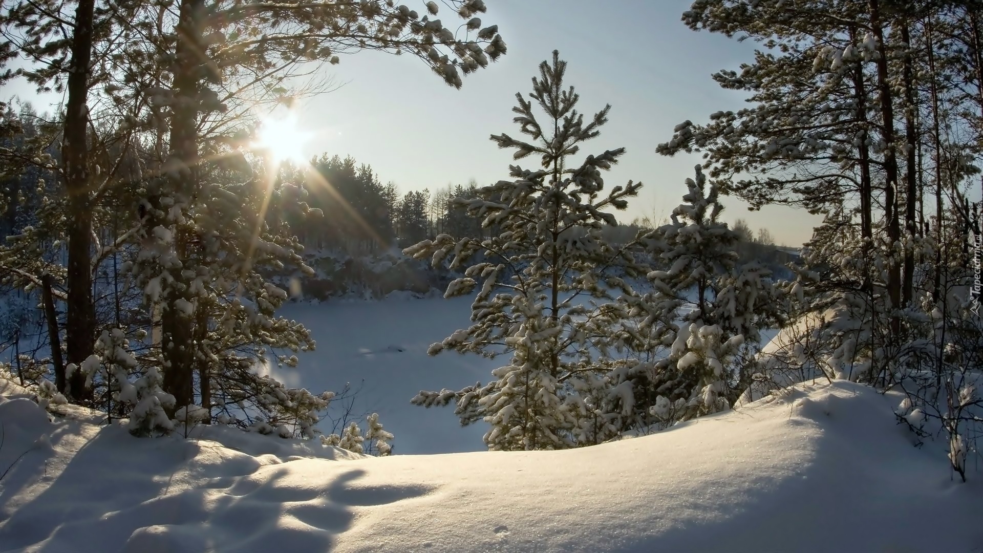 Zima, Jezioro, Las