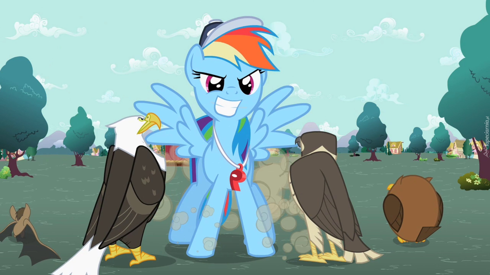 Rainbow Dash, Trener, Sowa, Orzeł