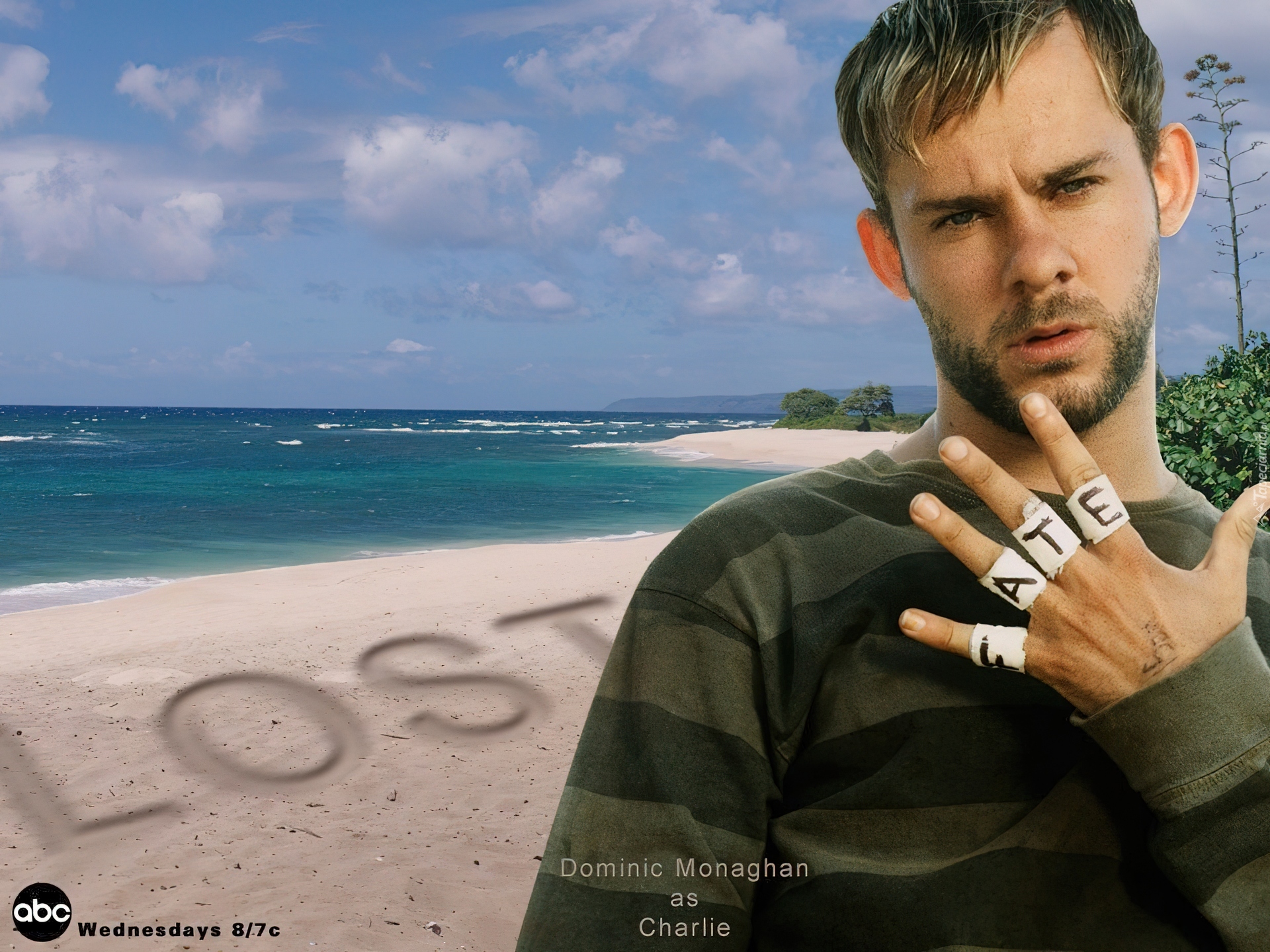 Dominic Monaghan,plaża, woda