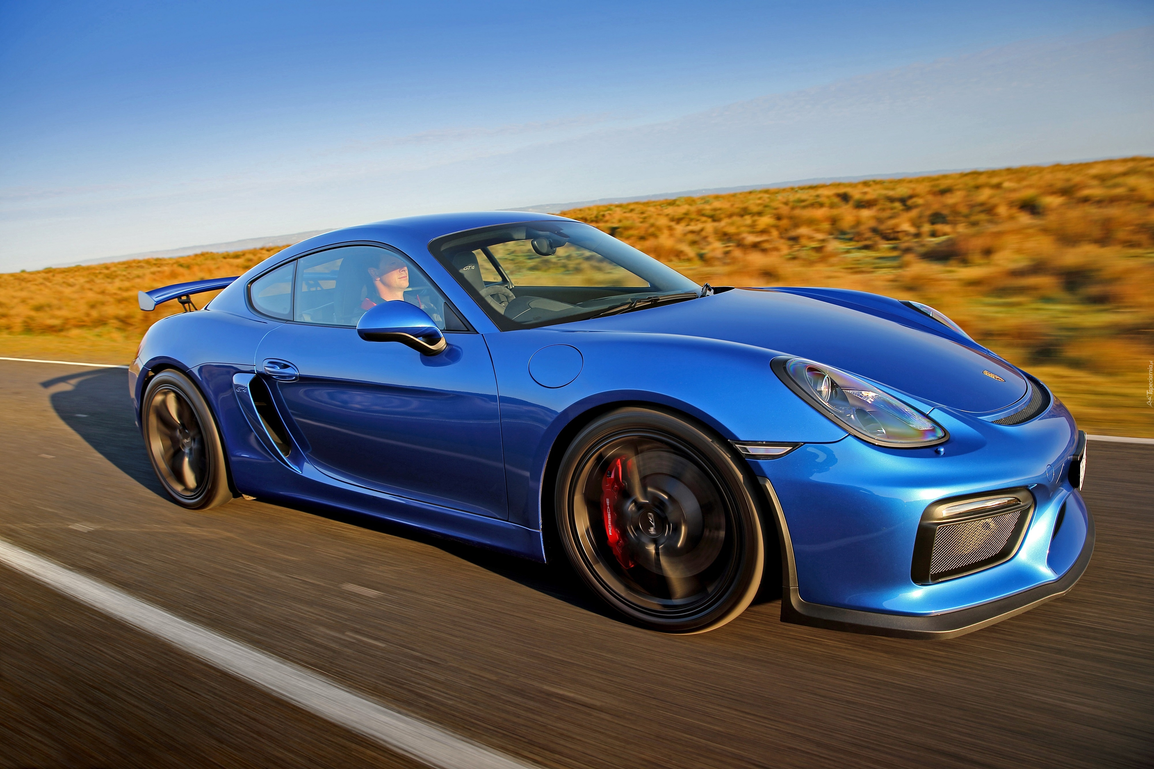 Porsche, Cayman, GT4