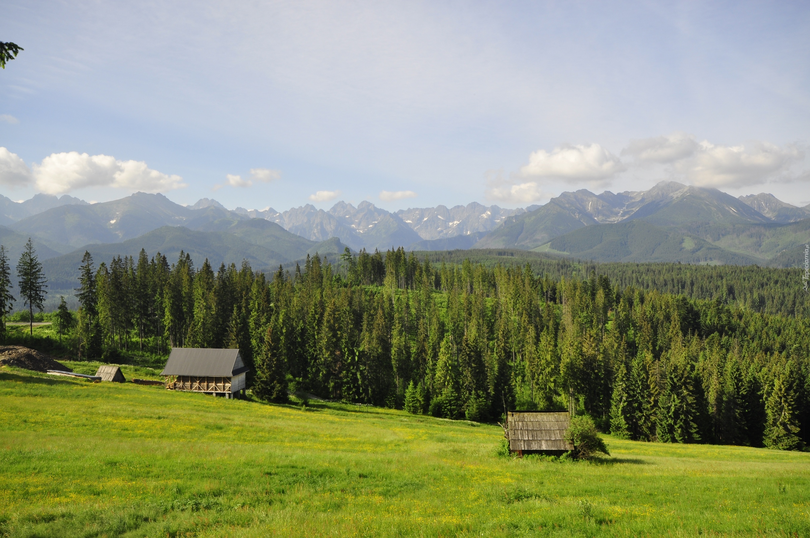 Polska, Tatry, Góry, Zakopane