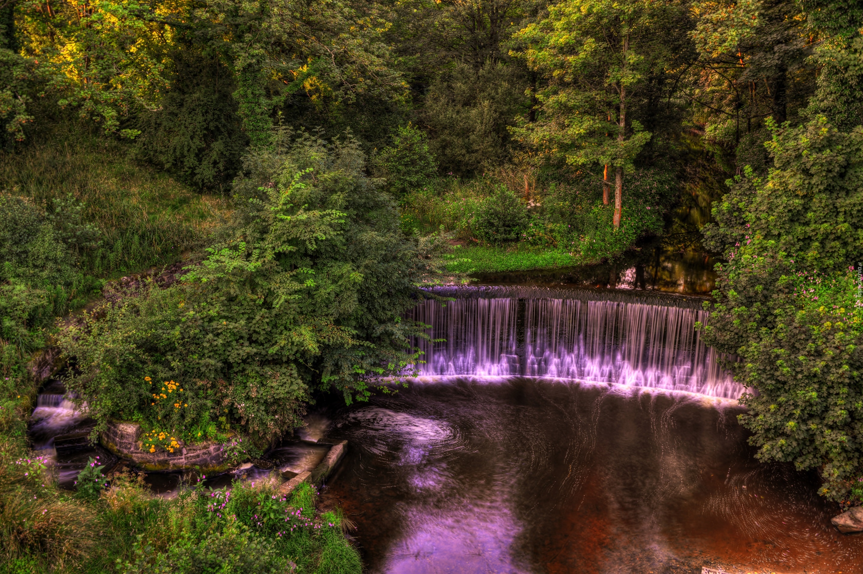 Las, Wodospad, Park, Krajobrazowy, Yarrow Valley, W Chorley