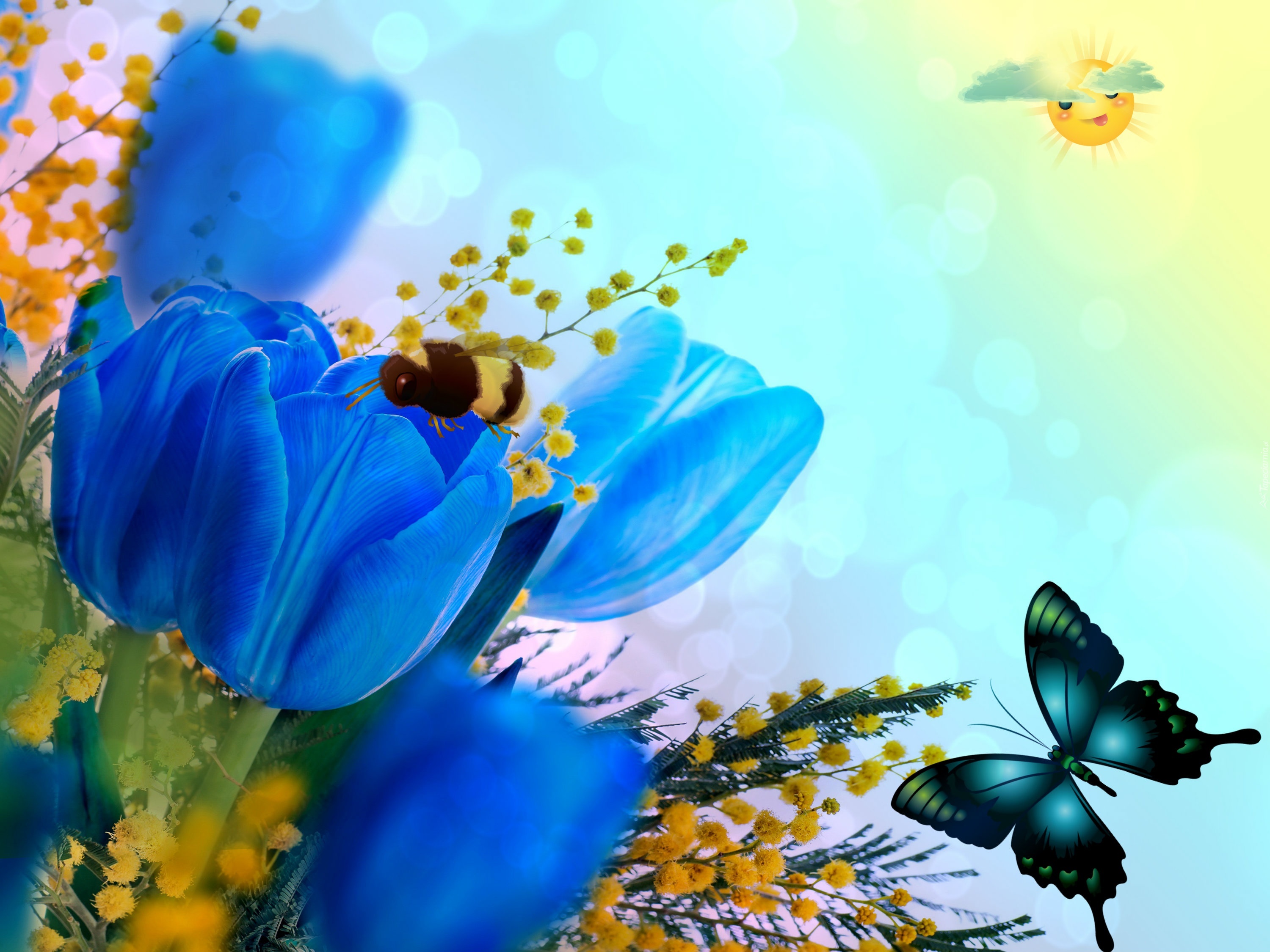 Tulipany, Motylek, Pszczoła