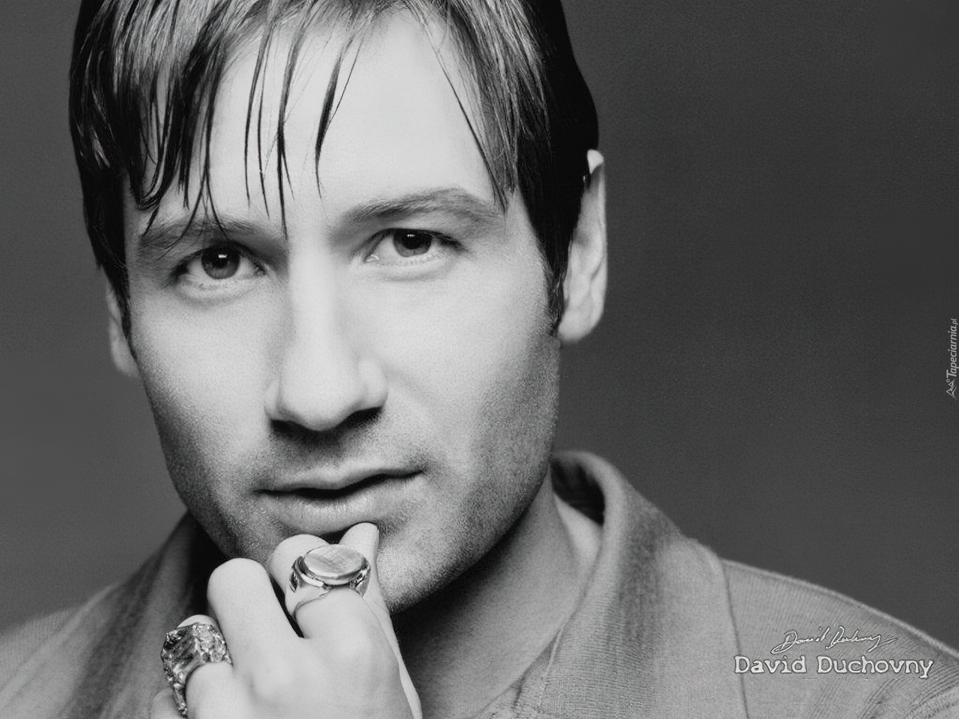 David Duchovny,sygnety