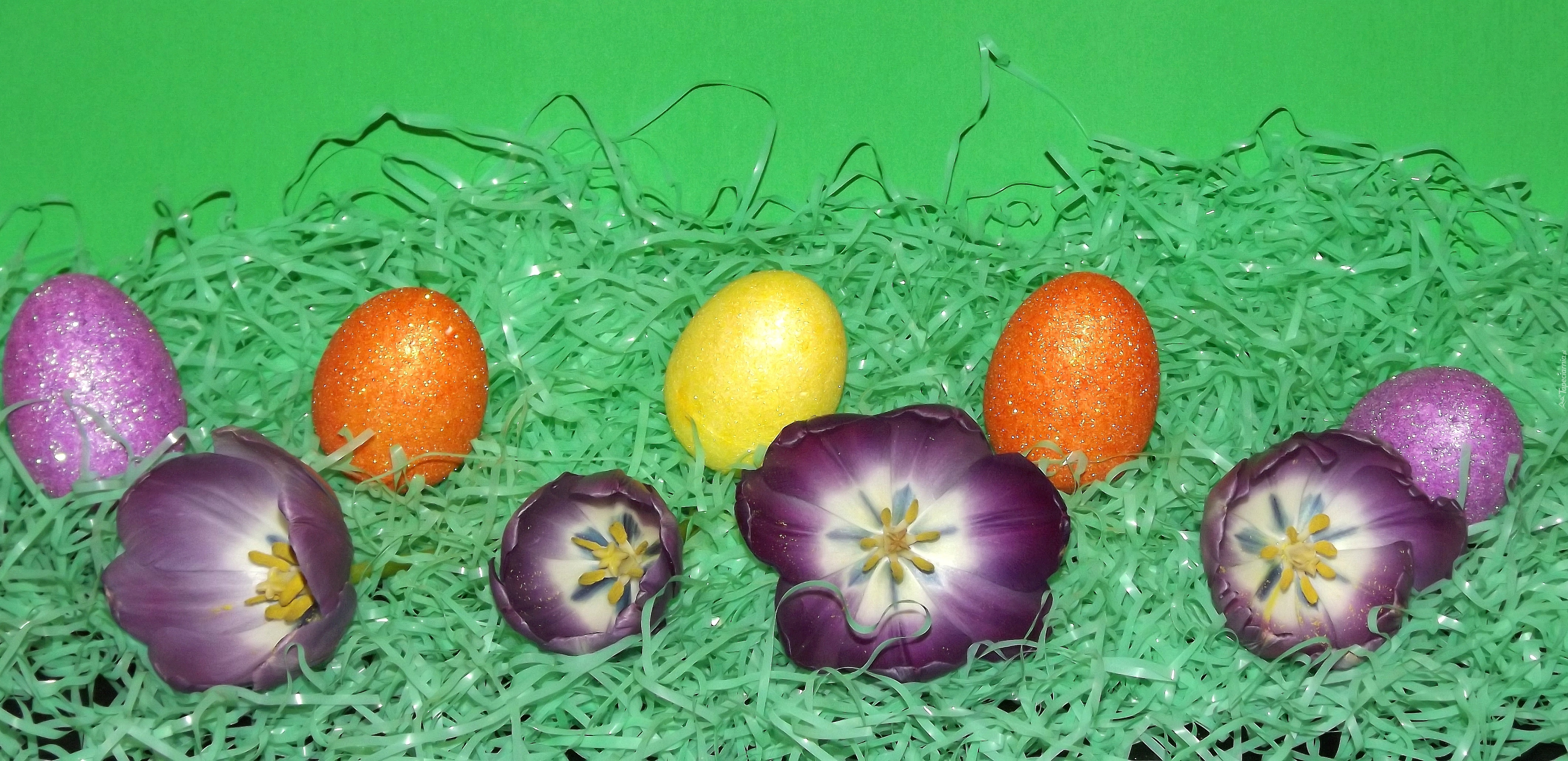 Wielkanocne, Jajka, Tulipany