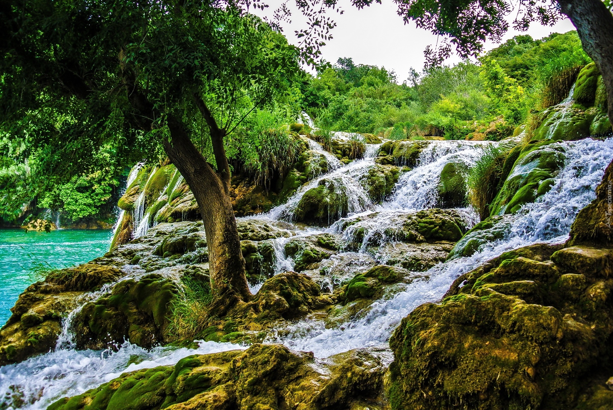 Park, Wodospad, Chorwacja