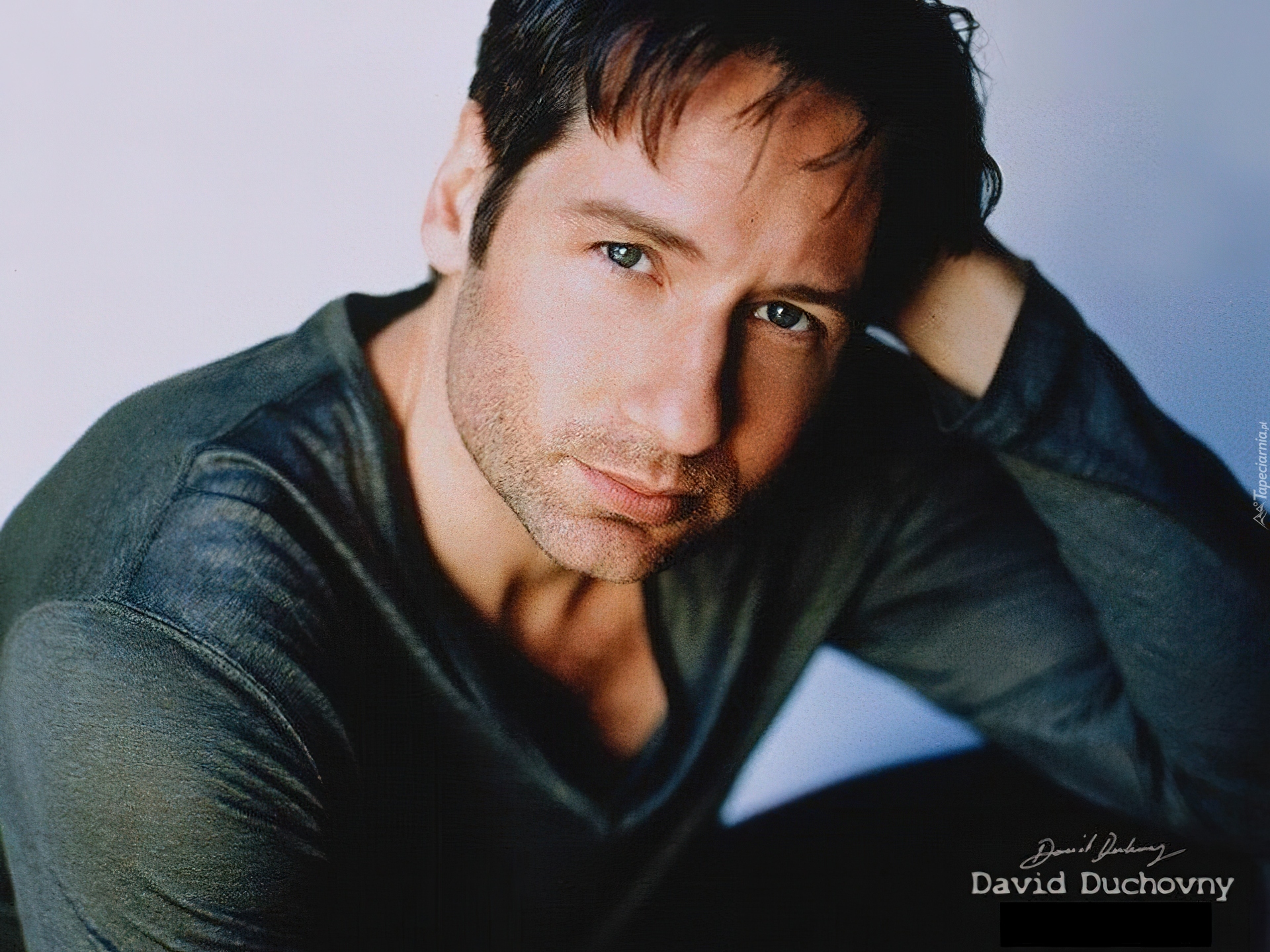 David Duchovny,ciemna bluzka