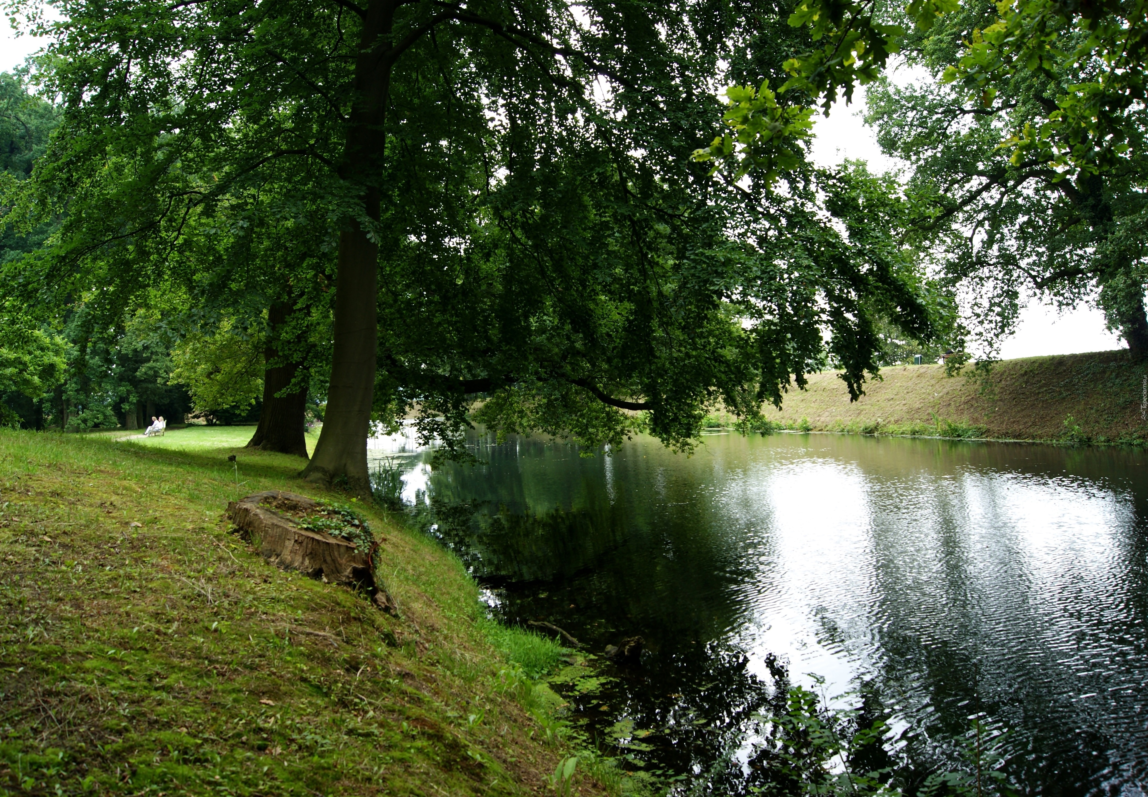 Park, Rzeka