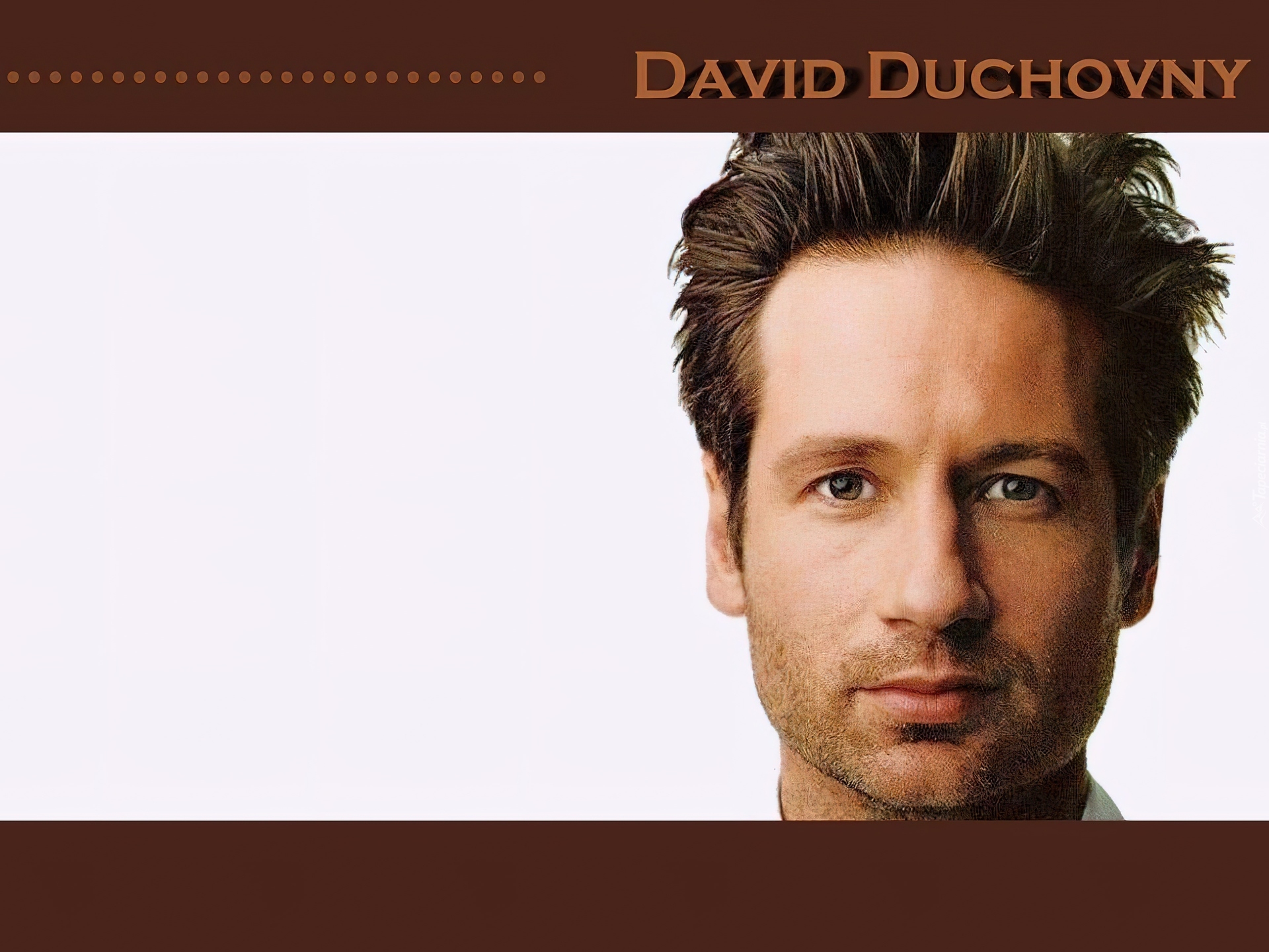 David Duchovny,brązowe włosy, niebieskie oczy