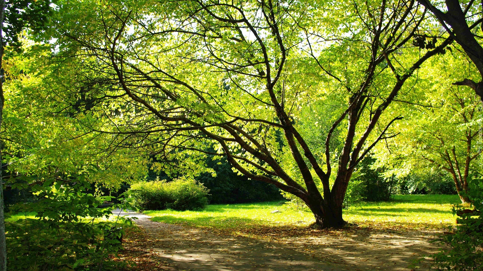 Wiosna, Park