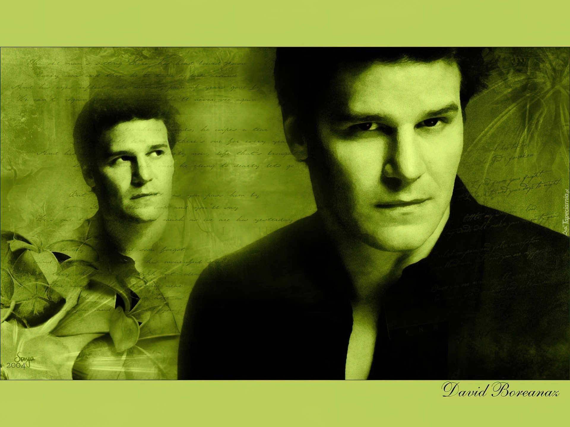 David Boreanaz,czarne włosy, ciemny strój