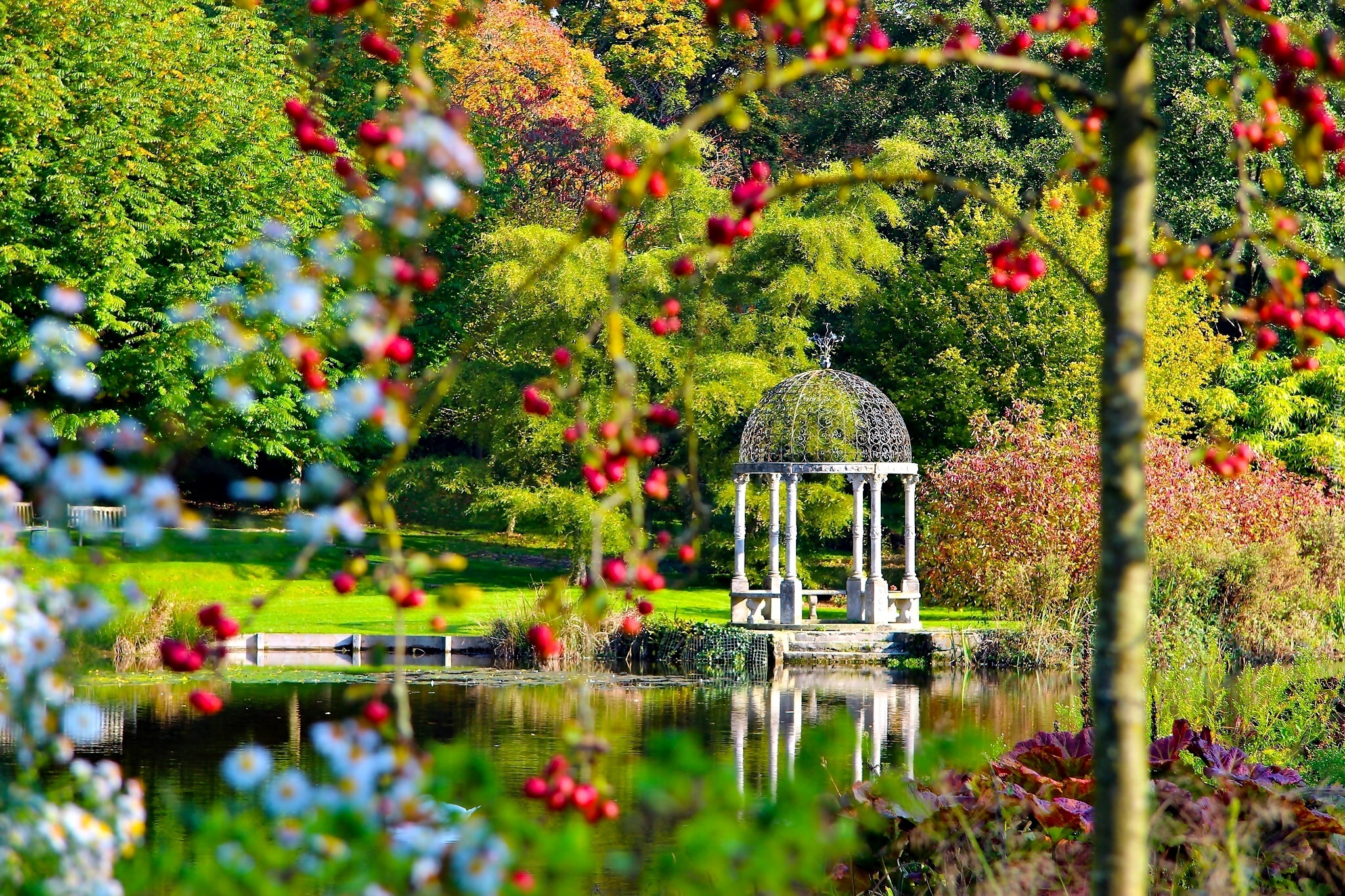 Park, Staw, Altana