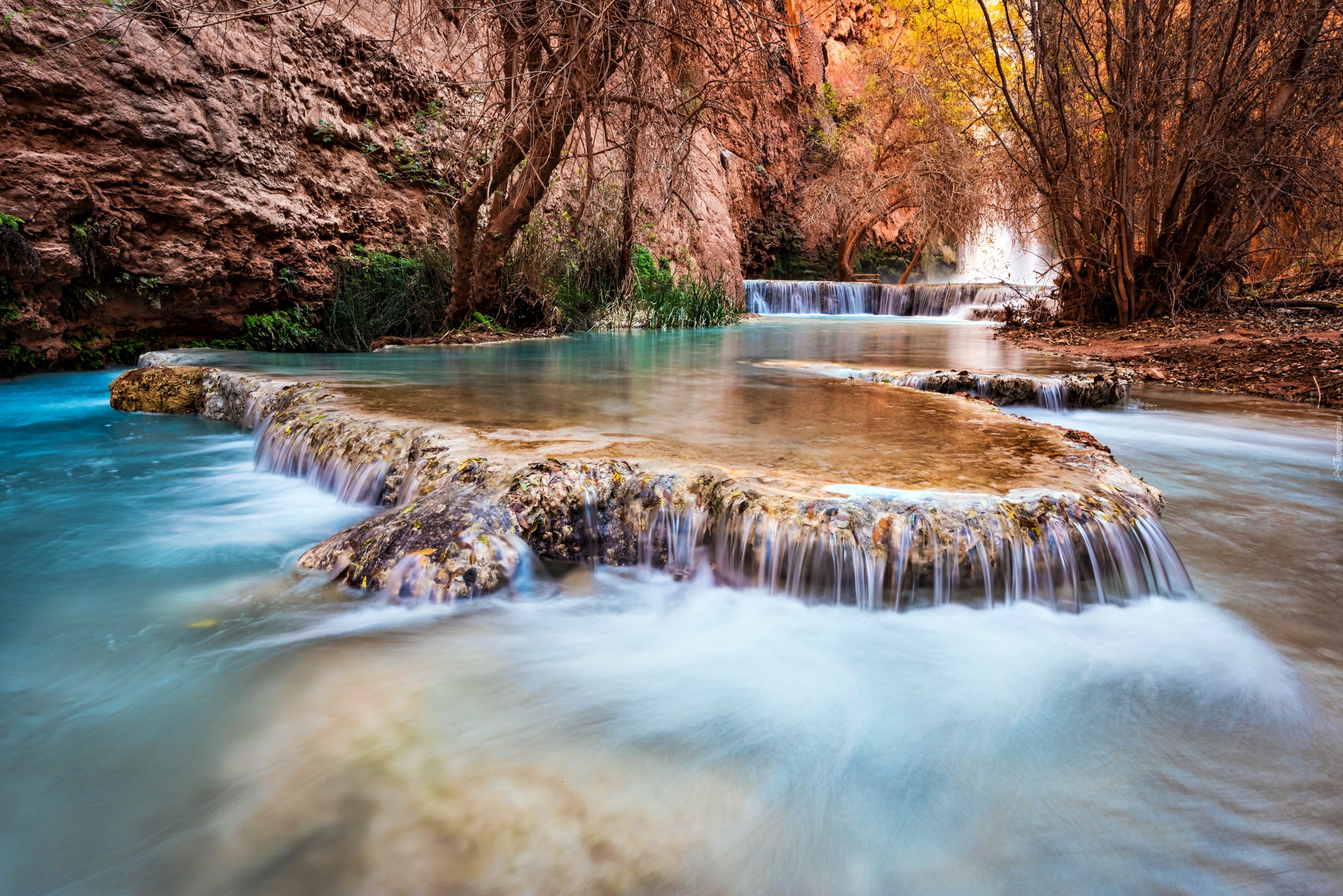 Kanion, Wodospad, Havasu, Roślinnność, Arizona