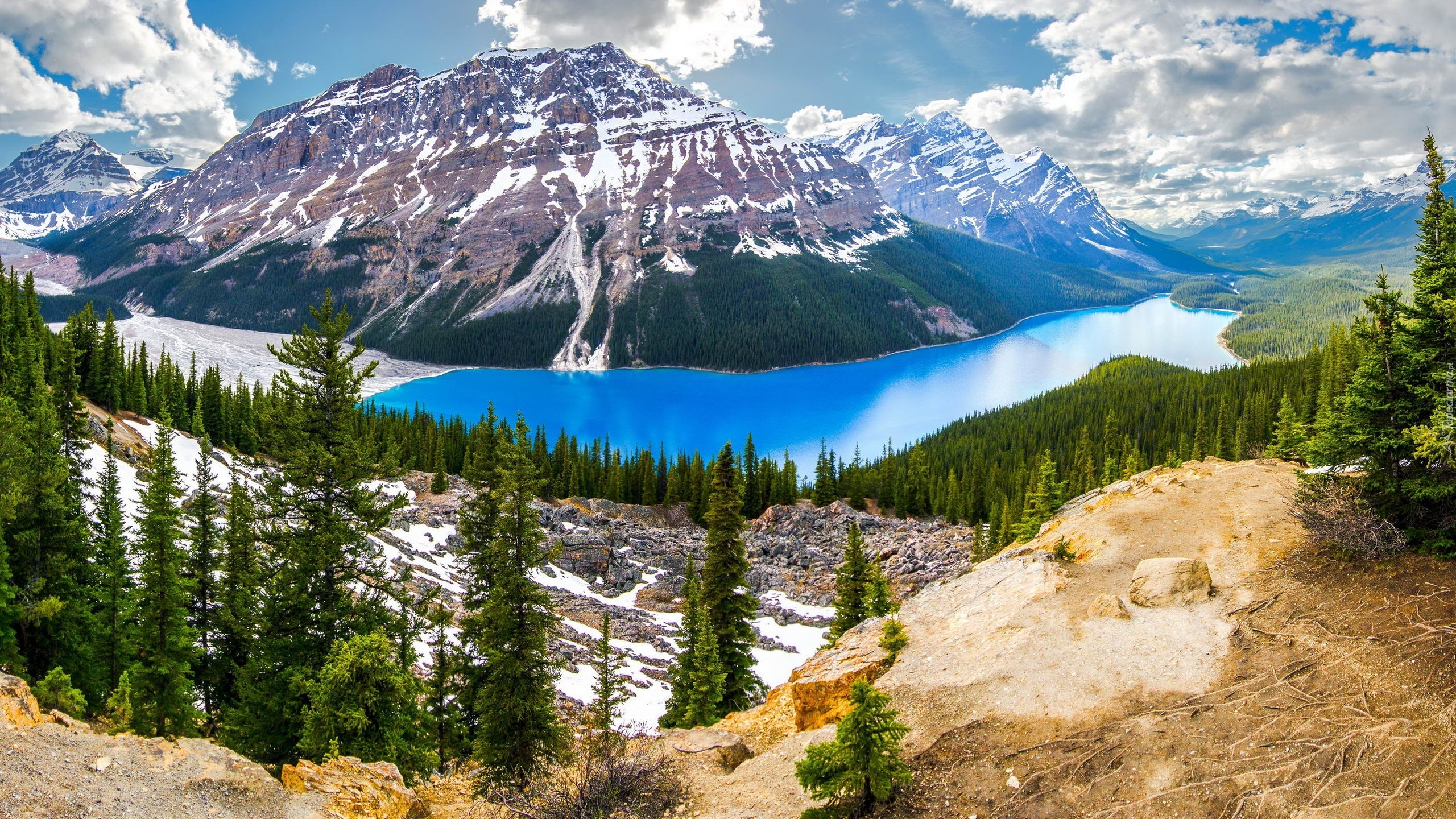 Jezioro, Peyto, Lake, Park, Narodowy, Kanada, Góry