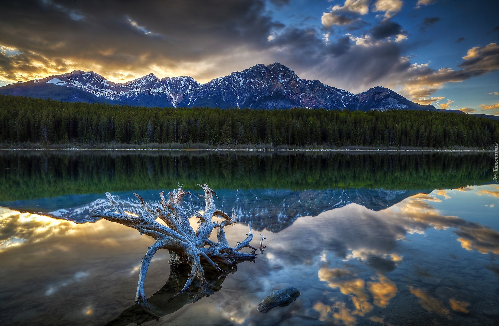 Kanada, Prowincja Alberta, Park Narodowy Jasper, Góry, Las, Chmury, Jezioro Patricia Lake