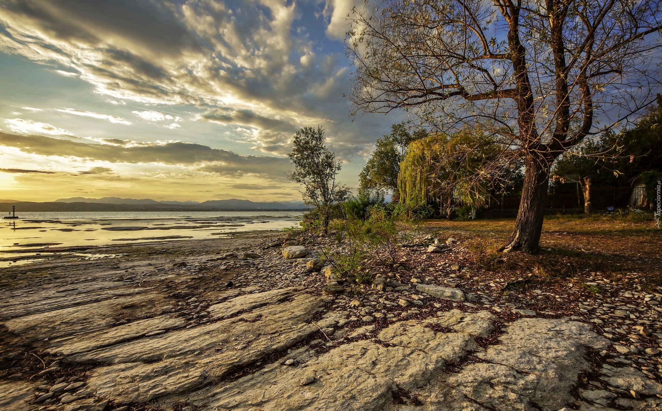 Wybrzeże, Kamienie, Drzewa, Sirmione, Lombardia